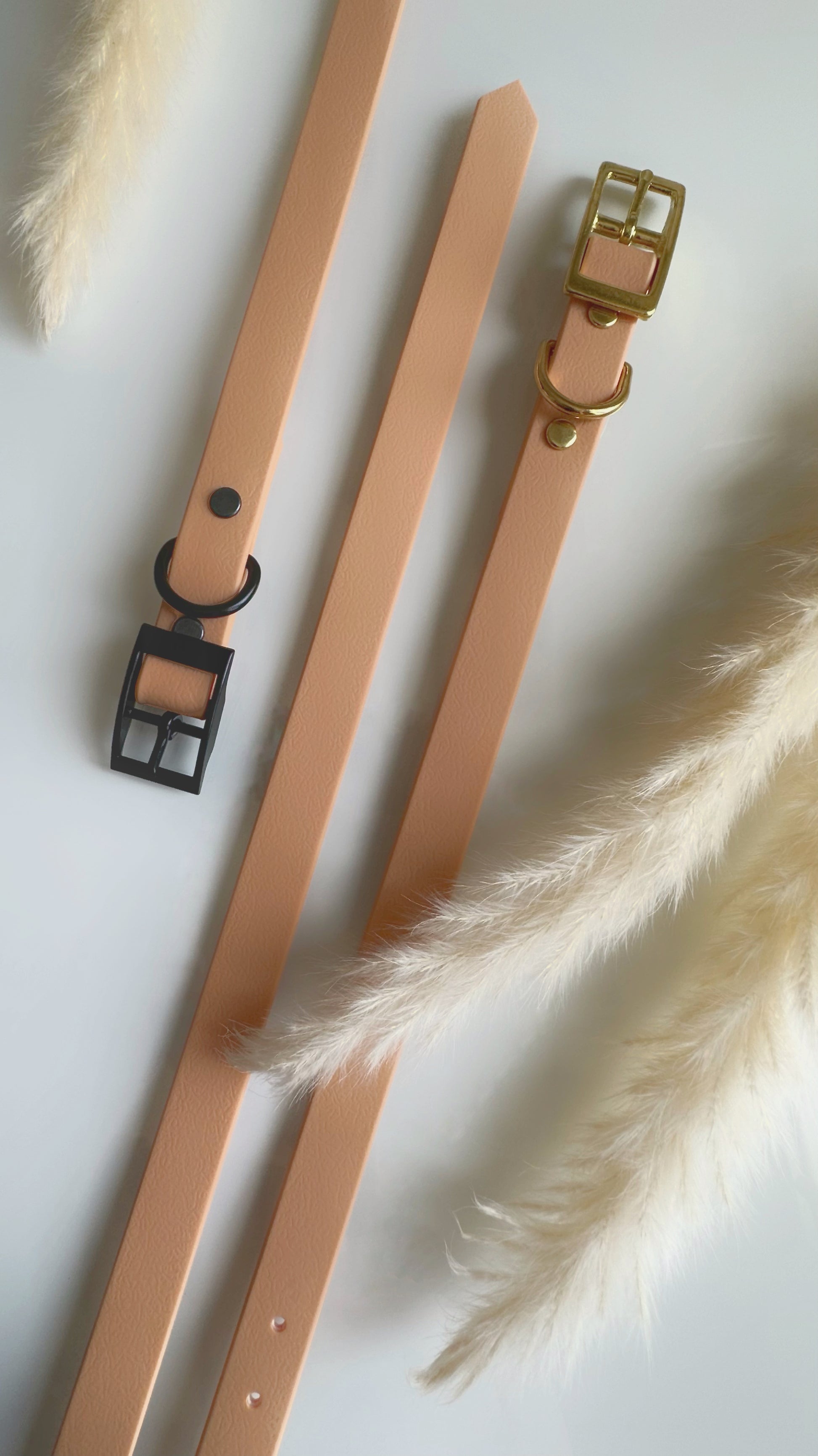 Collares