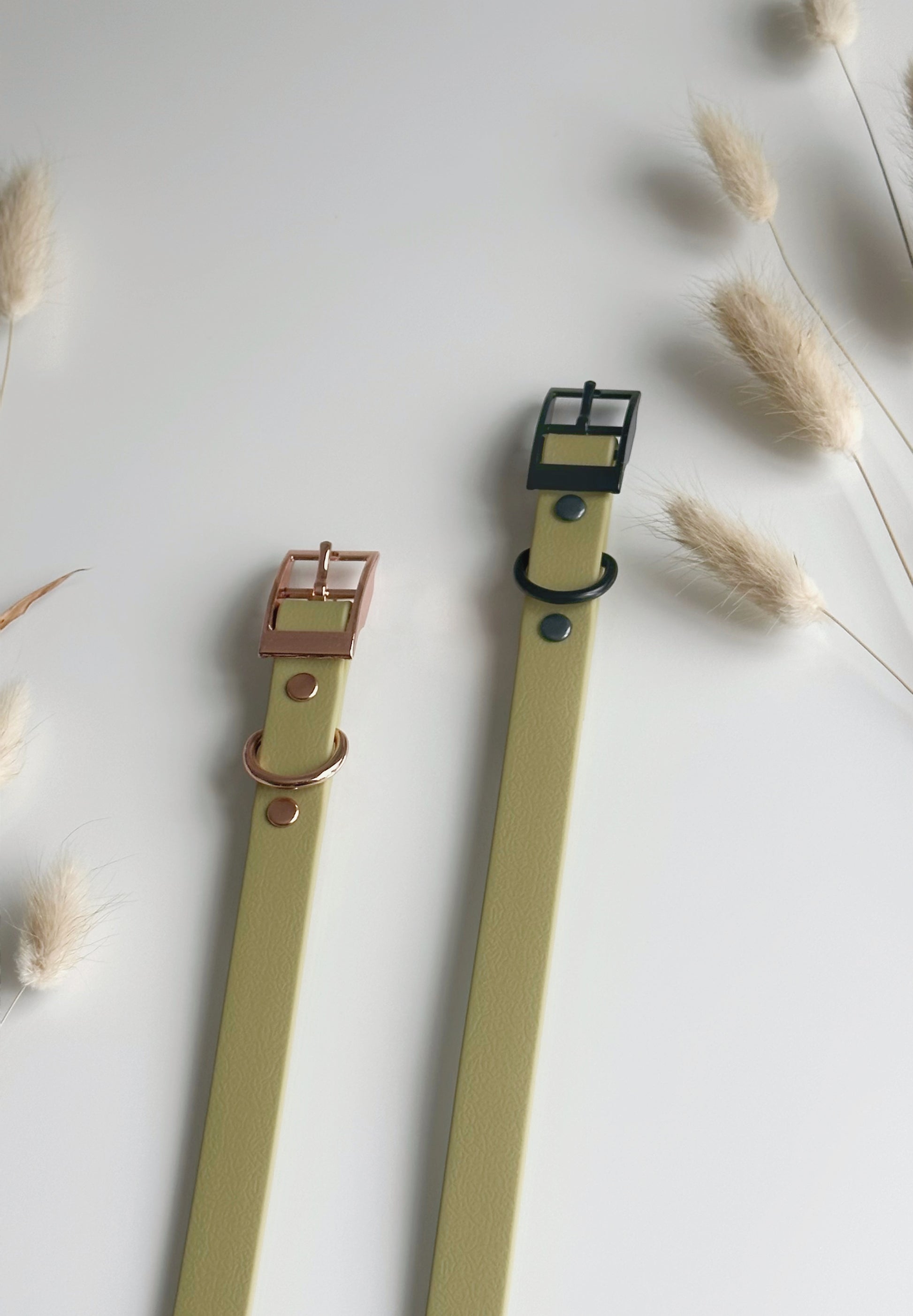 Collares