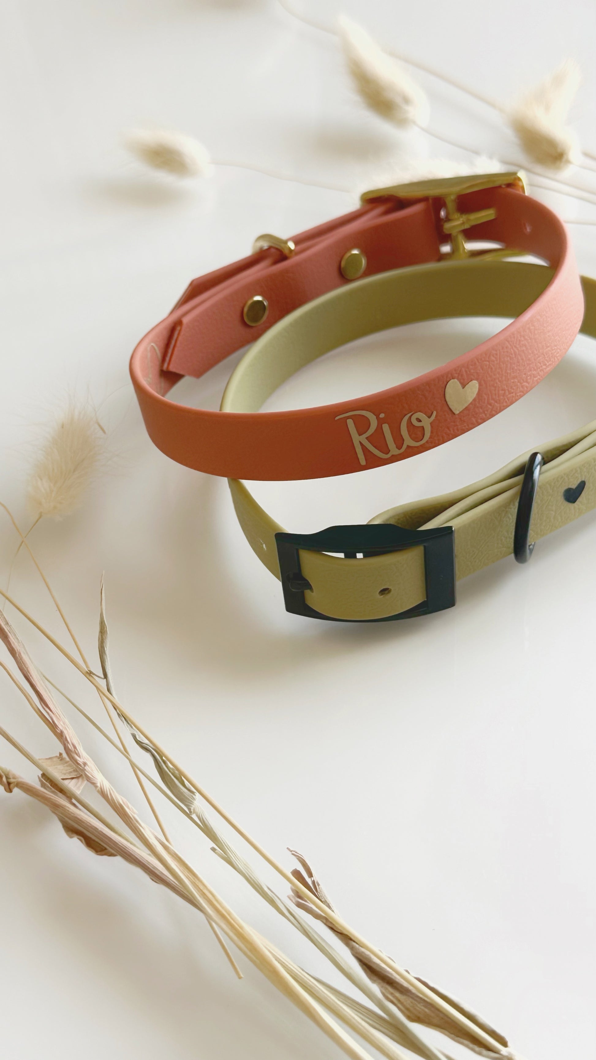 Collares