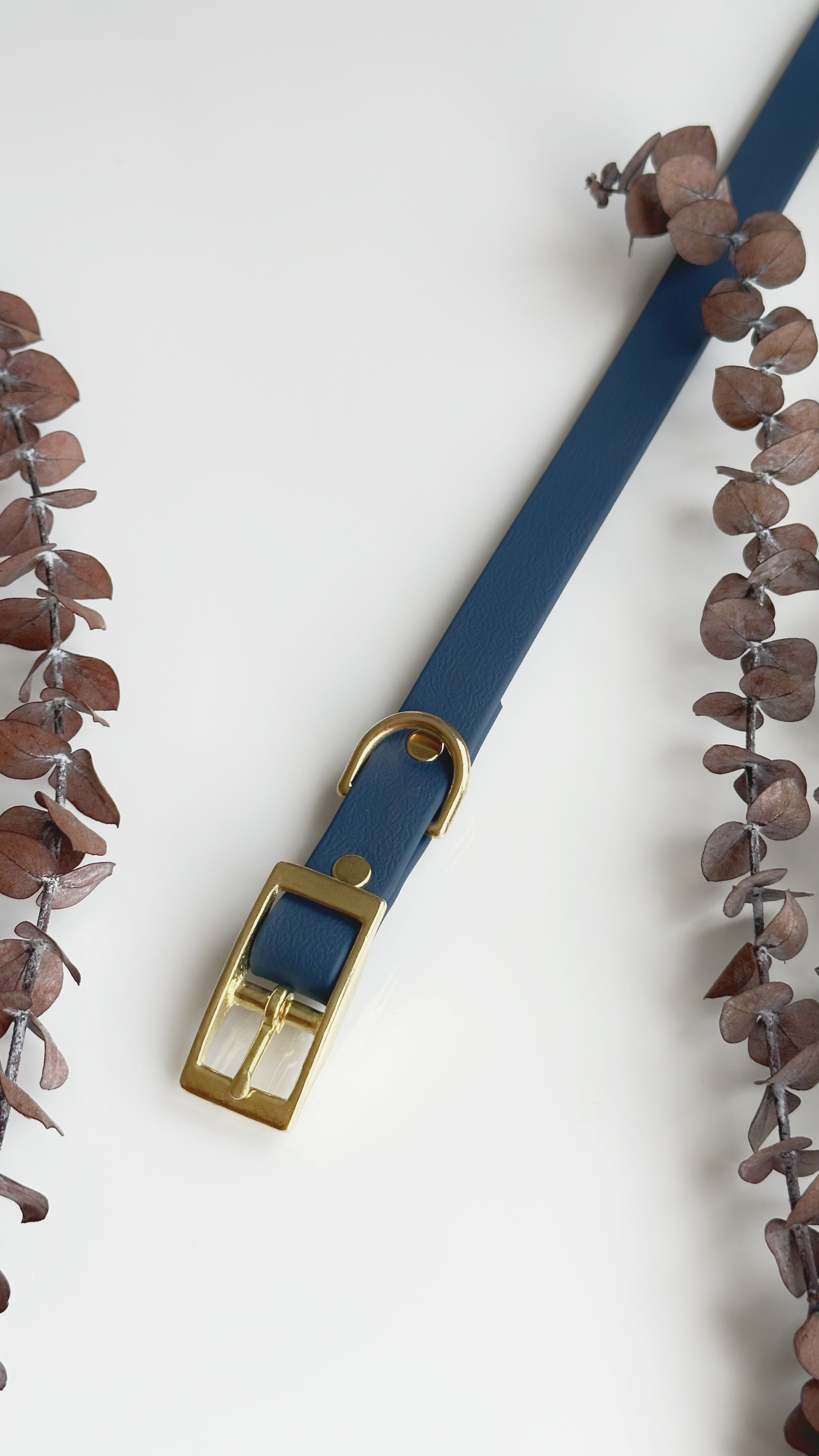 Collares