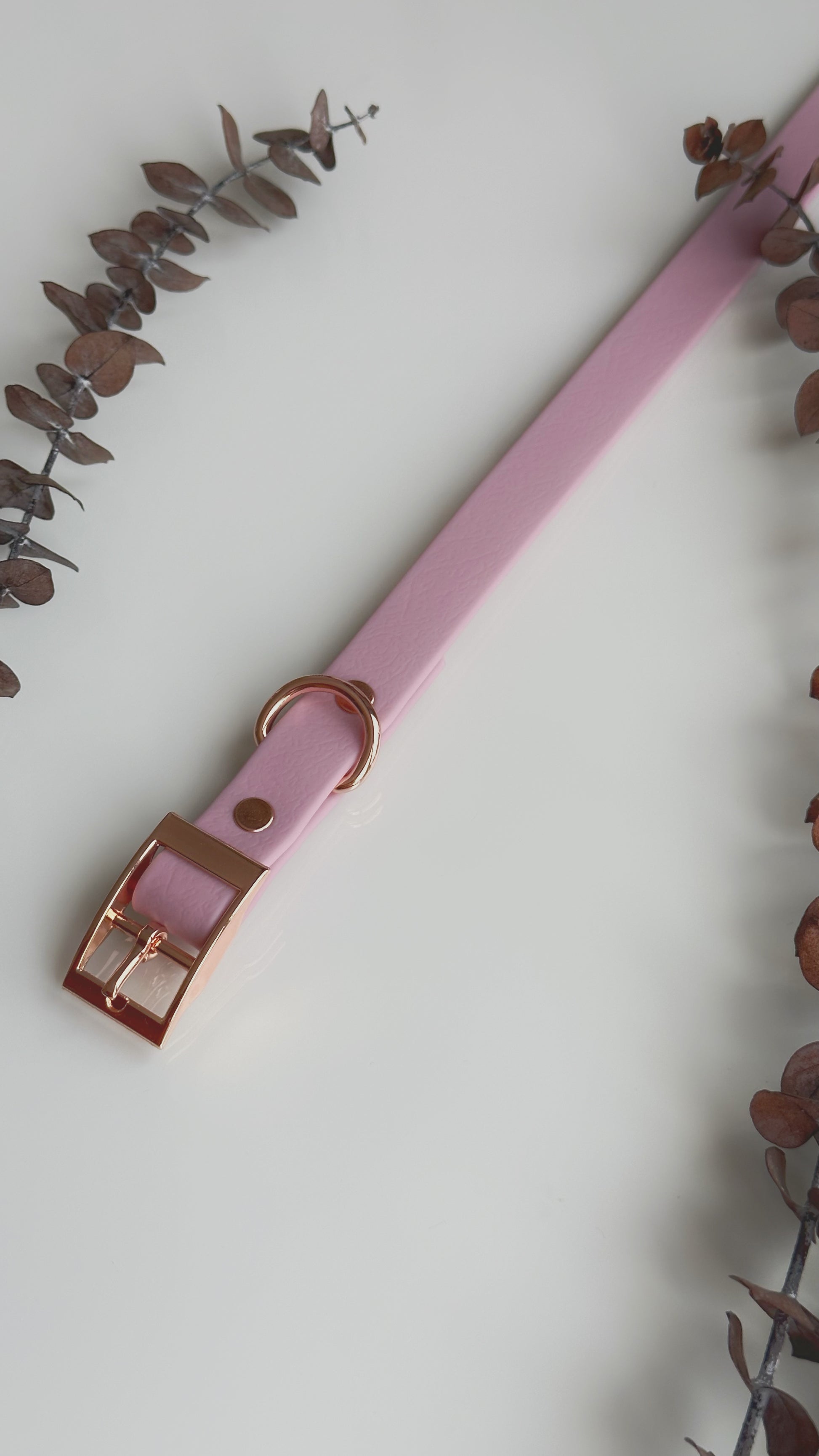 Collares