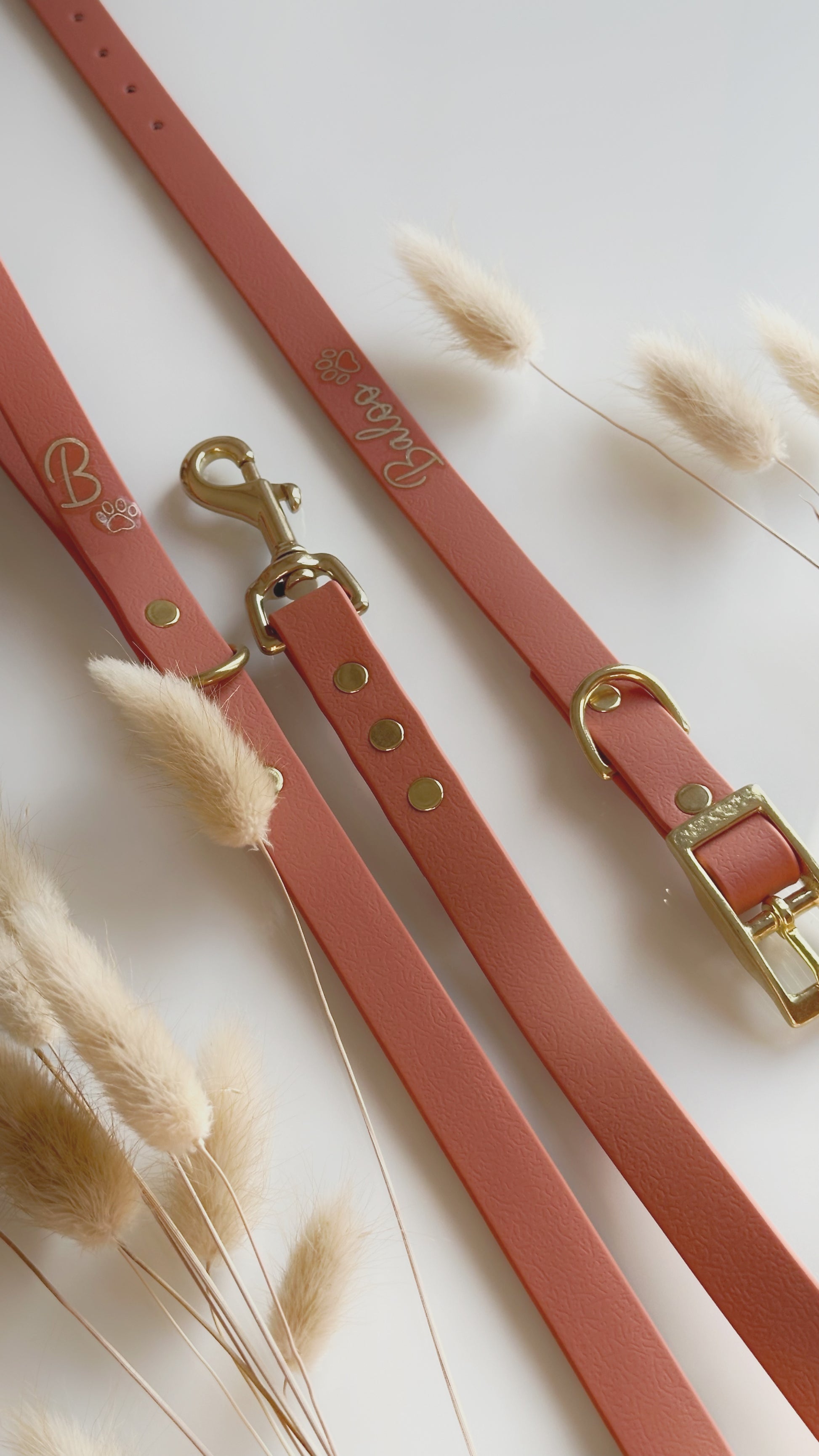 Collares