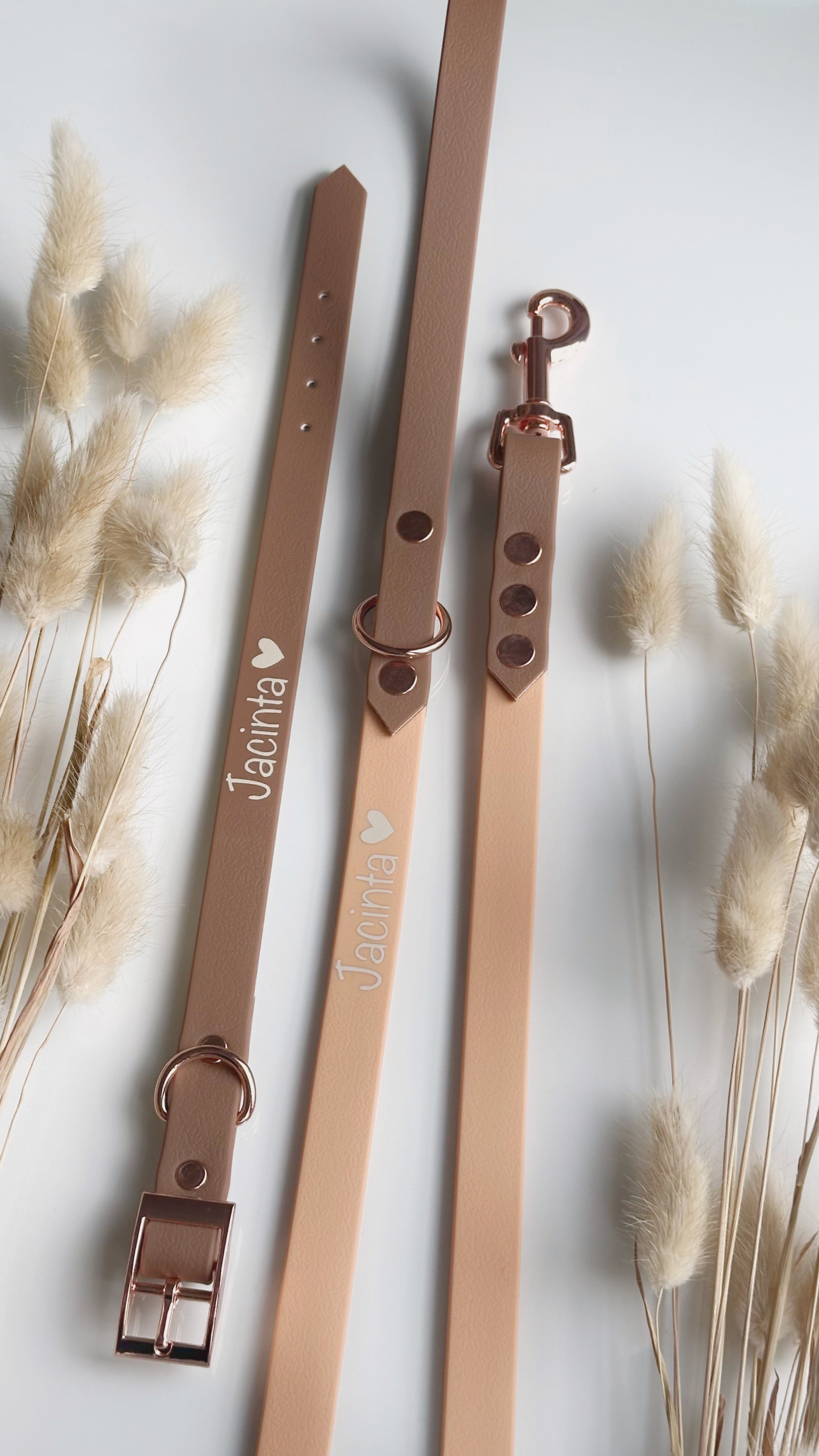 Collares