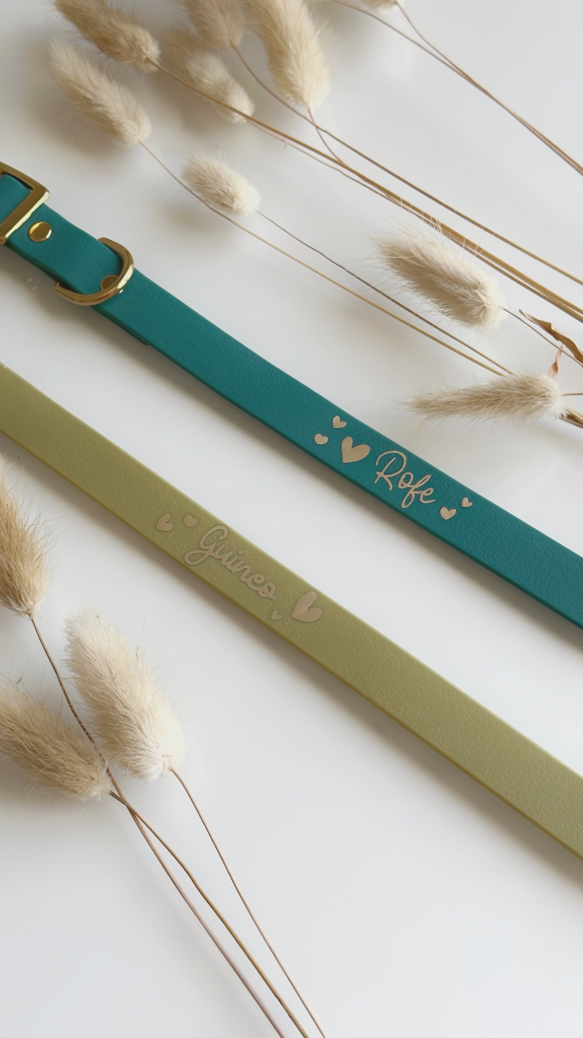 Collares