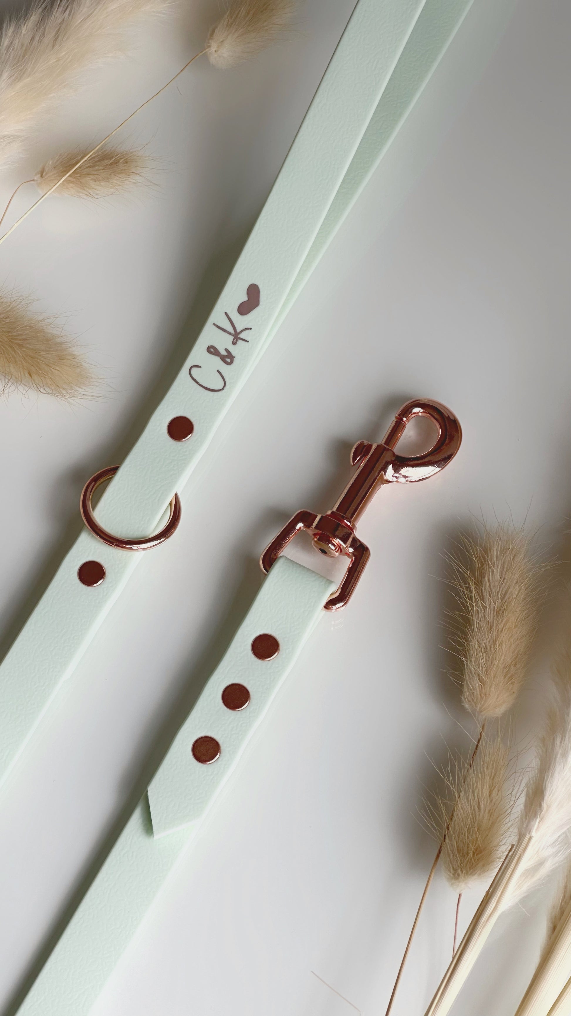 Collares
