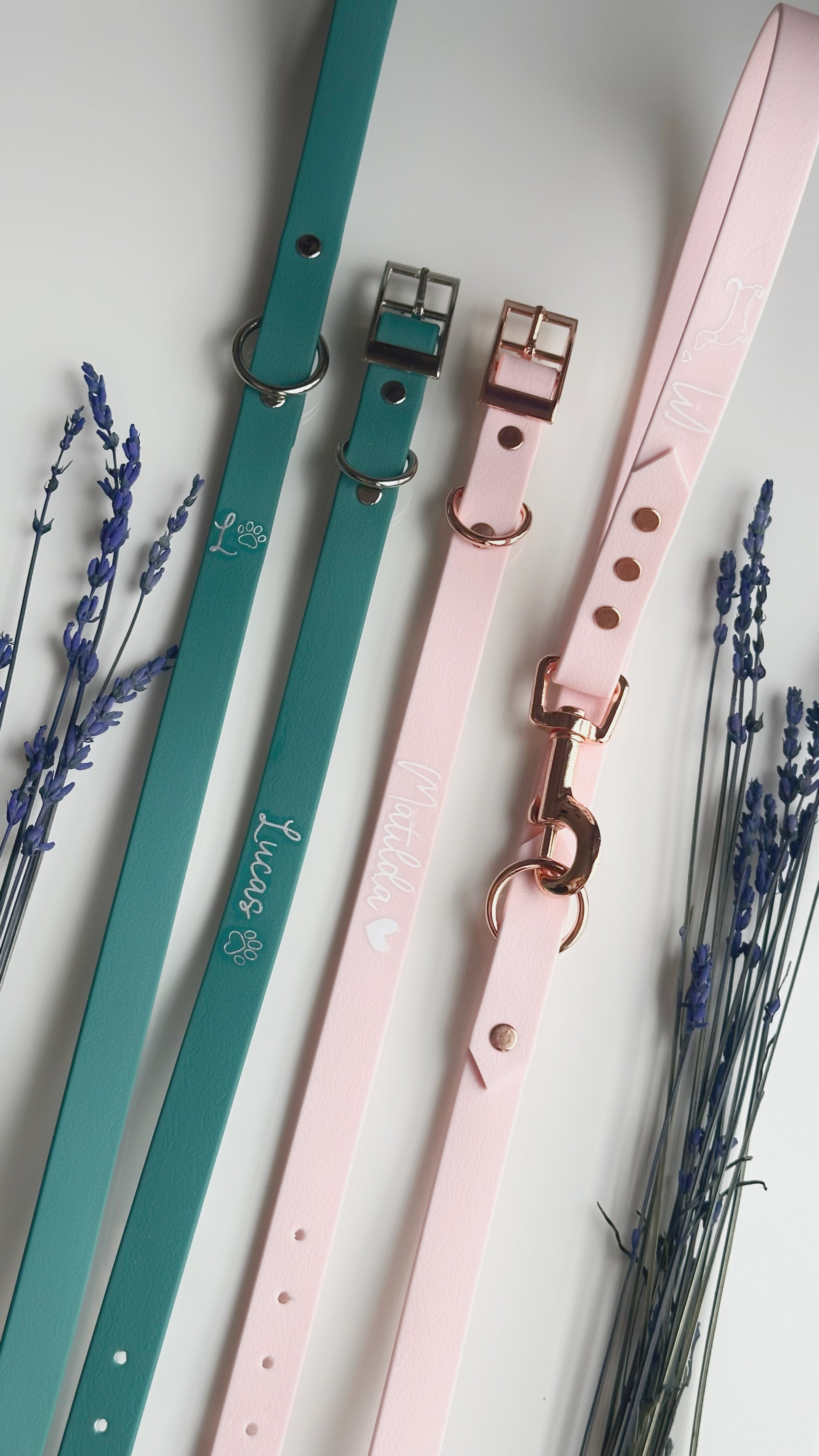 Collares