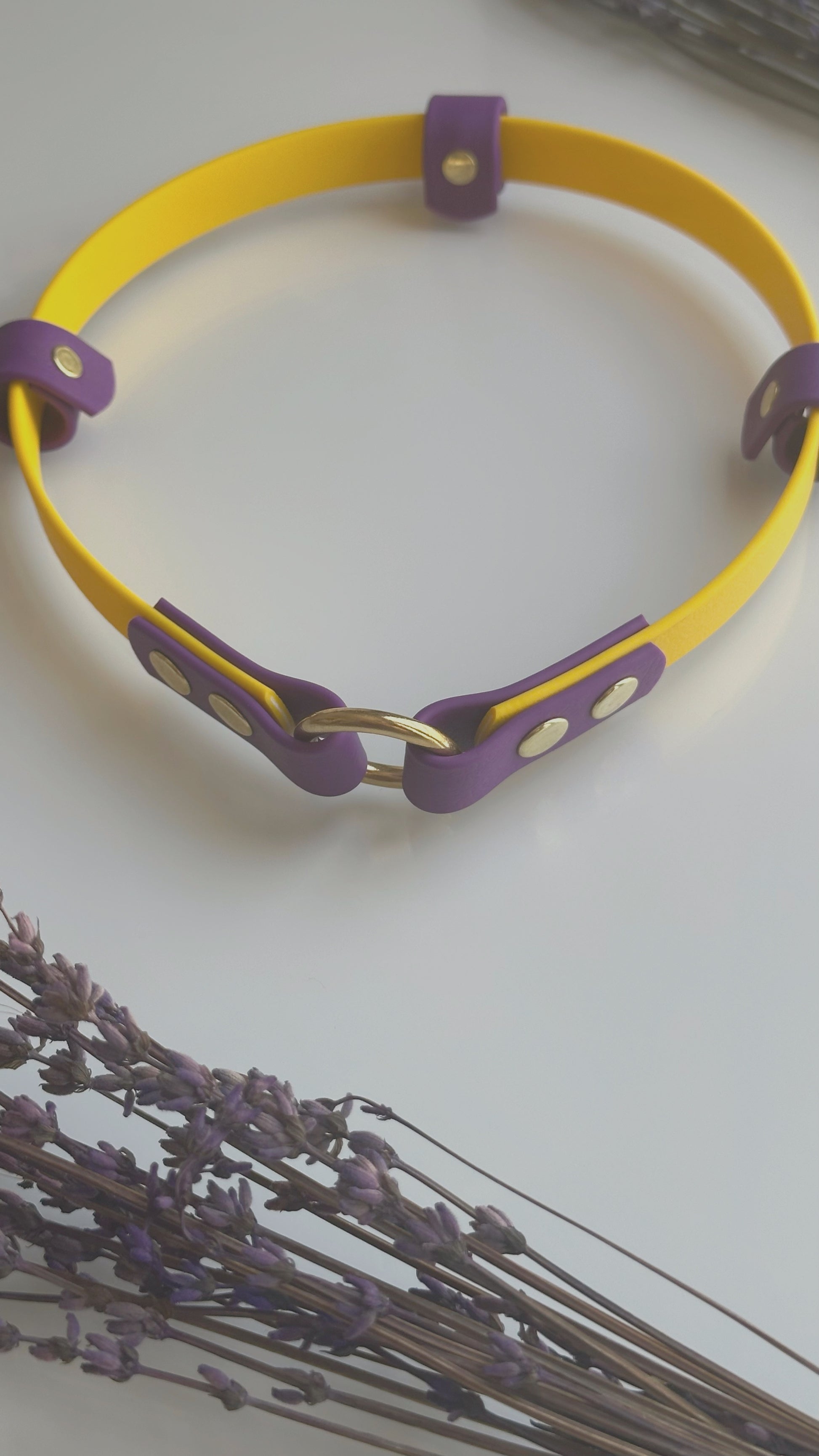 Collares