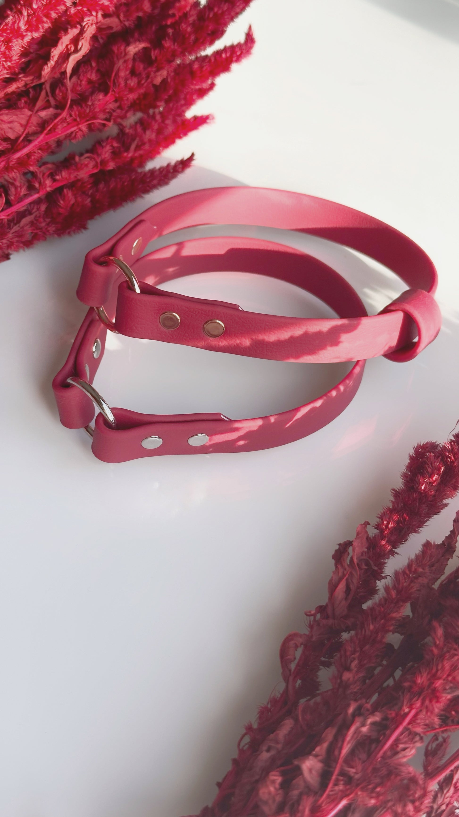 Collar Home