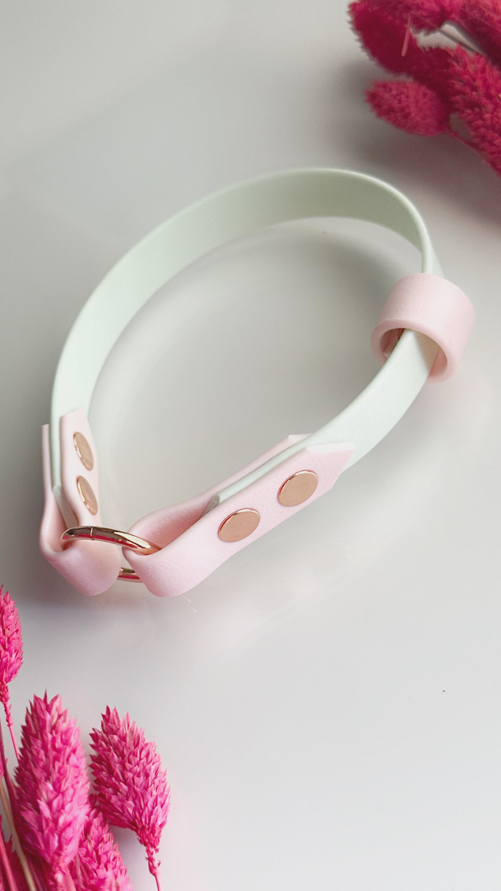 Collar Home