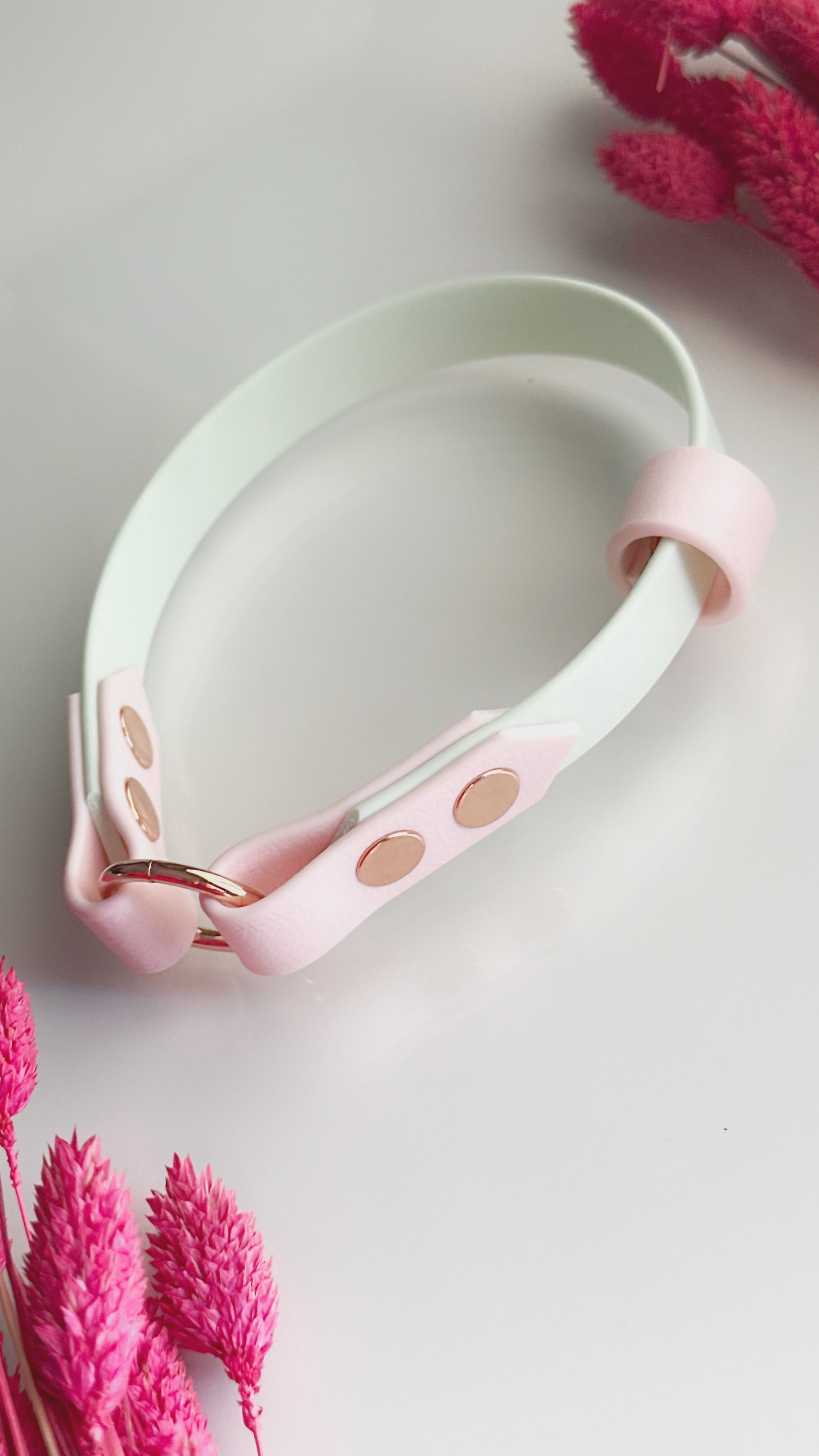 Collar Home