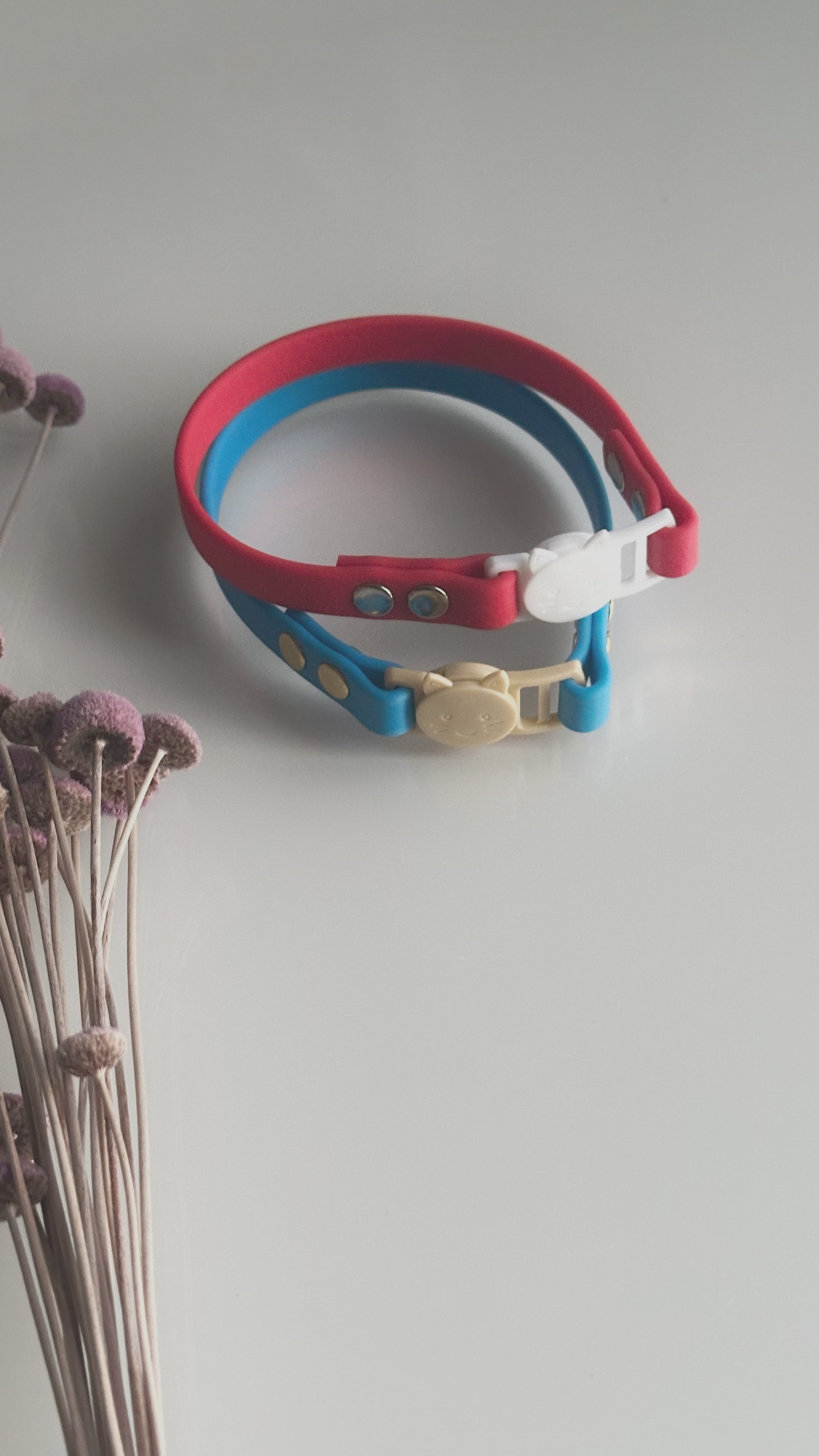 Collares Mini Gatos