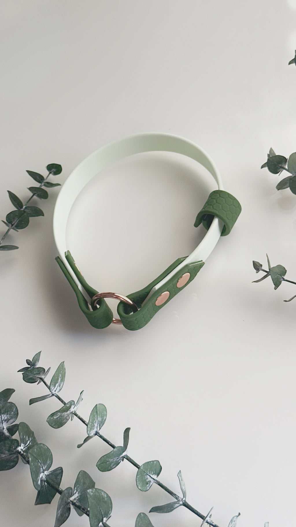 Collar Home