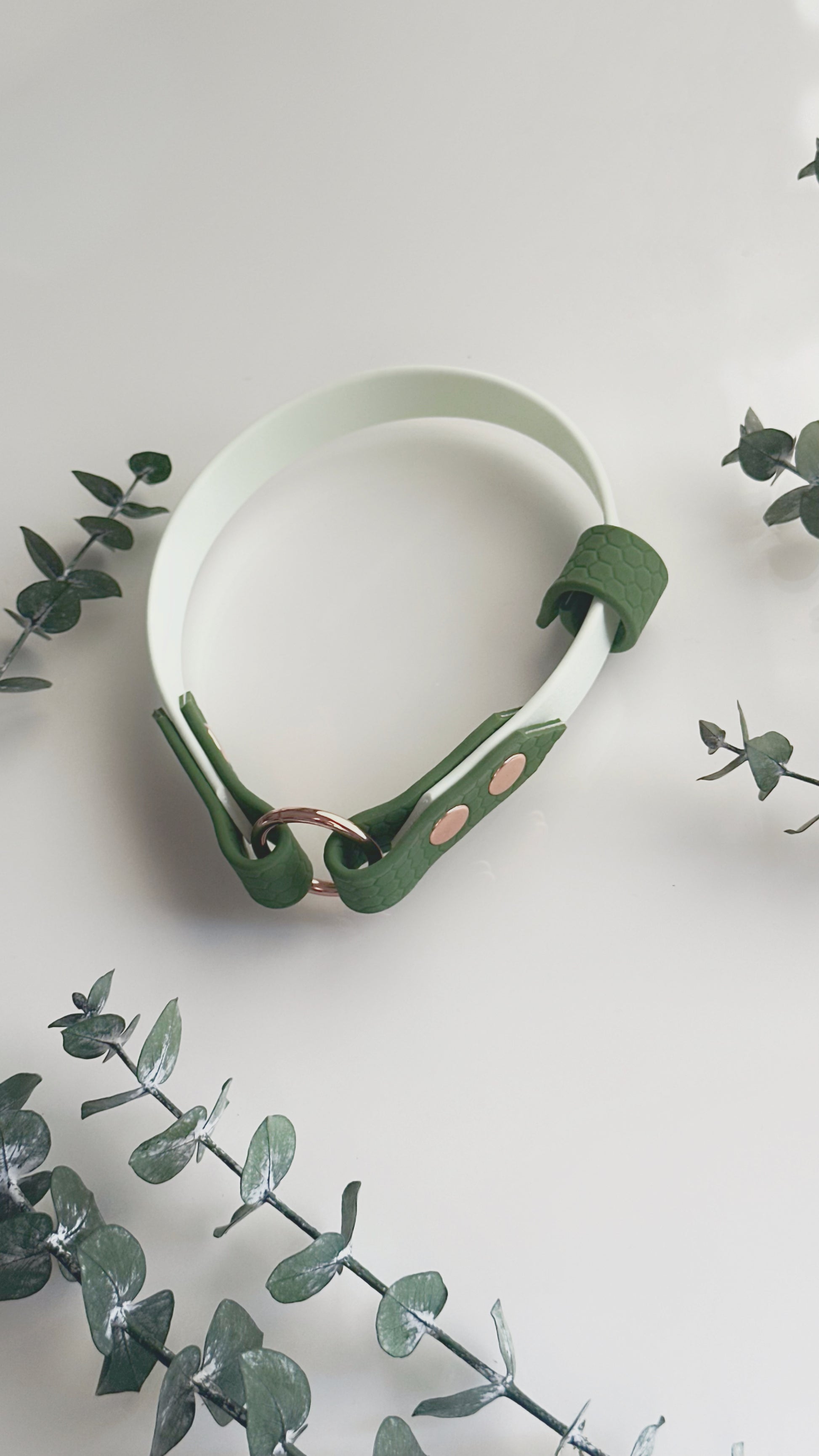 Collar Home