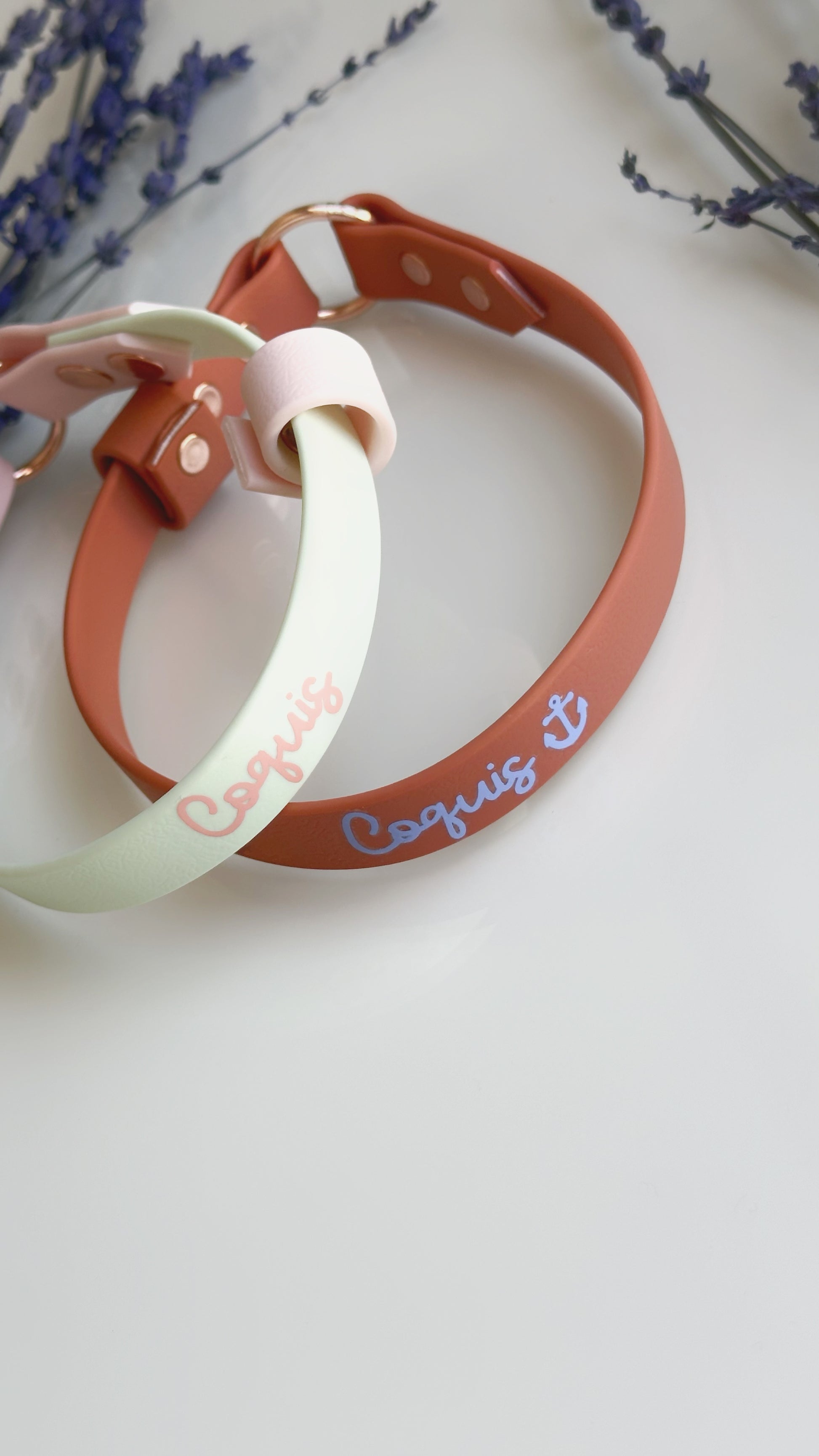Collar Home