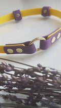 Collar Home