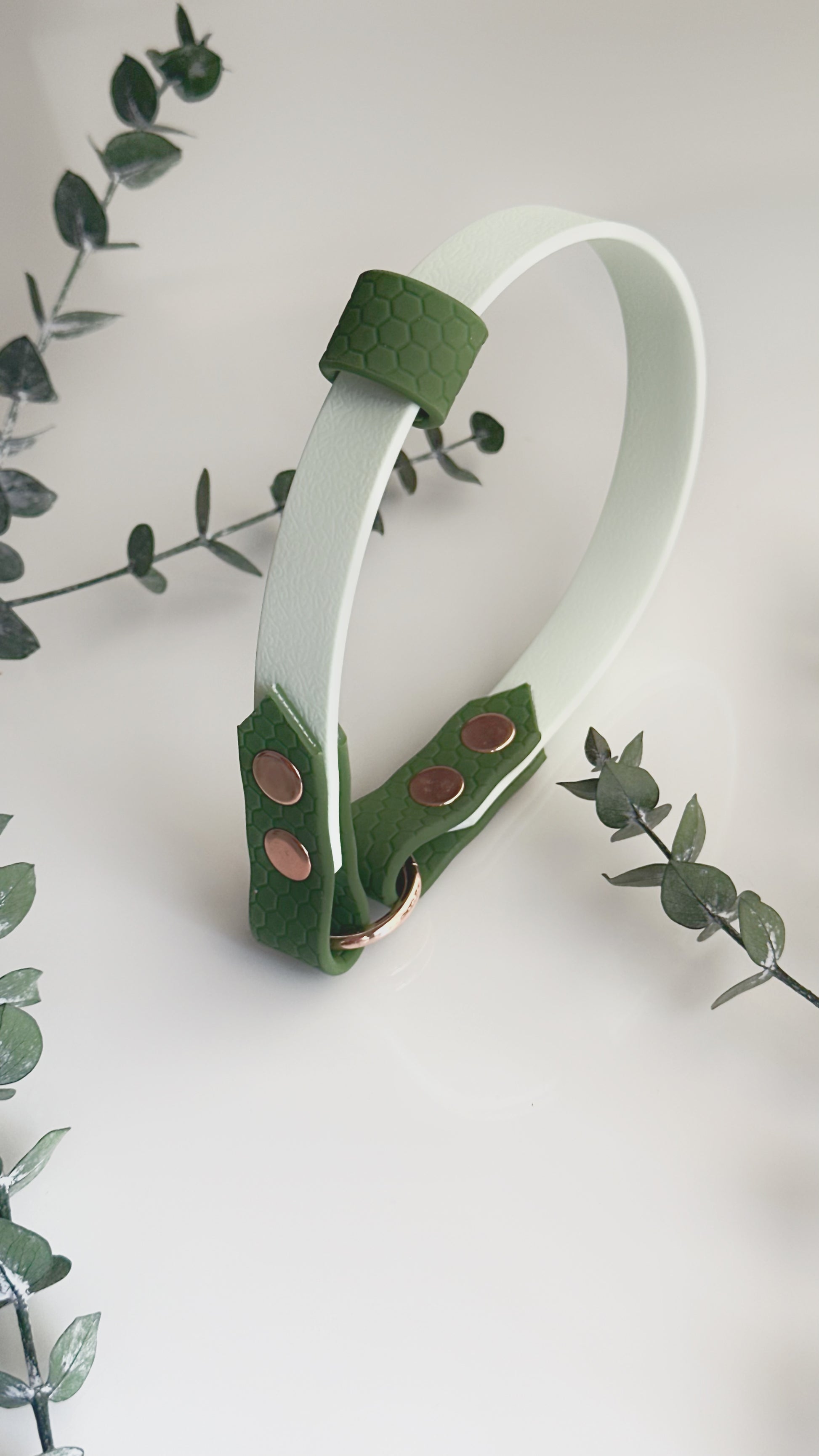 Collar Home
