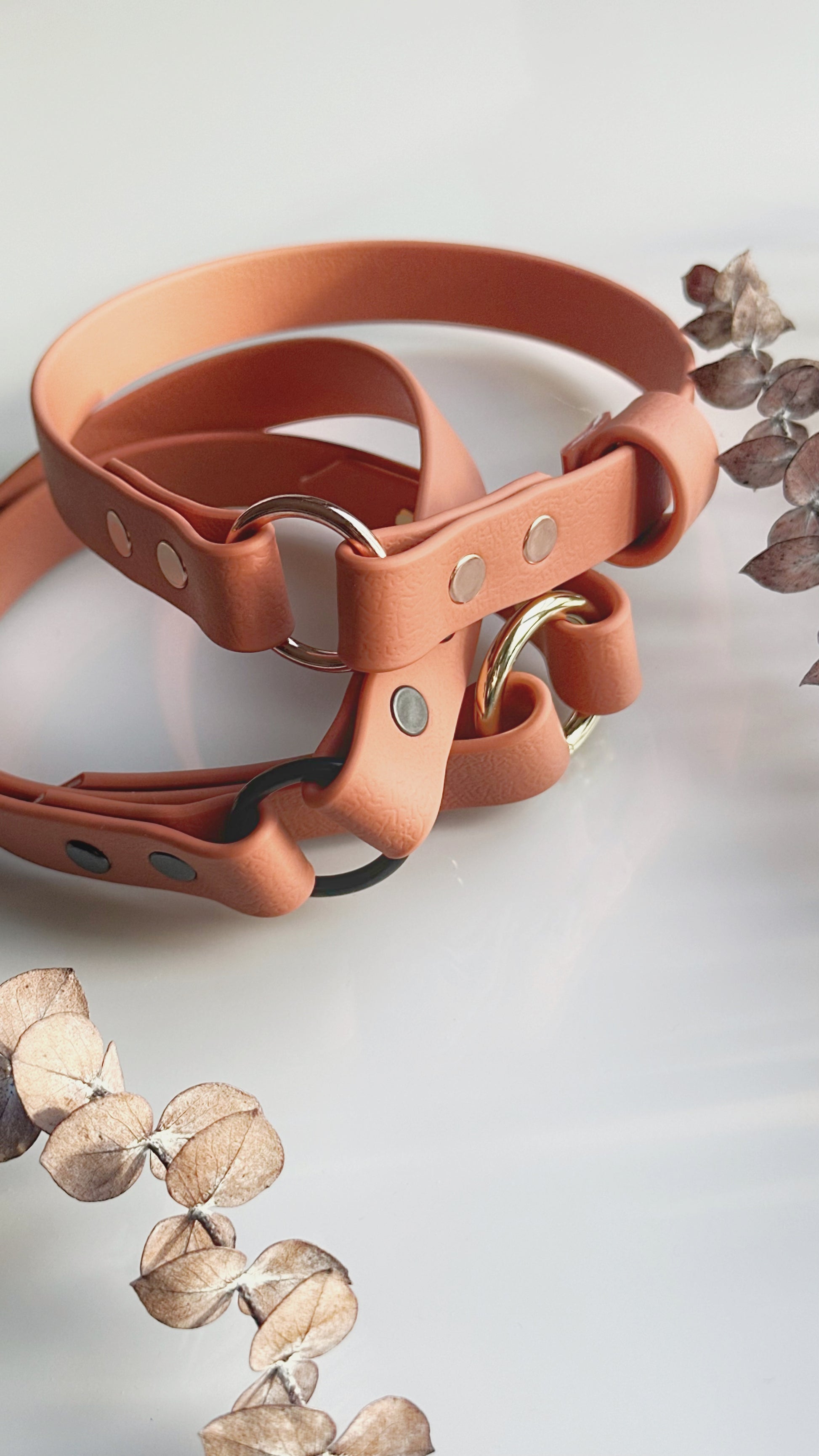 Collar Home