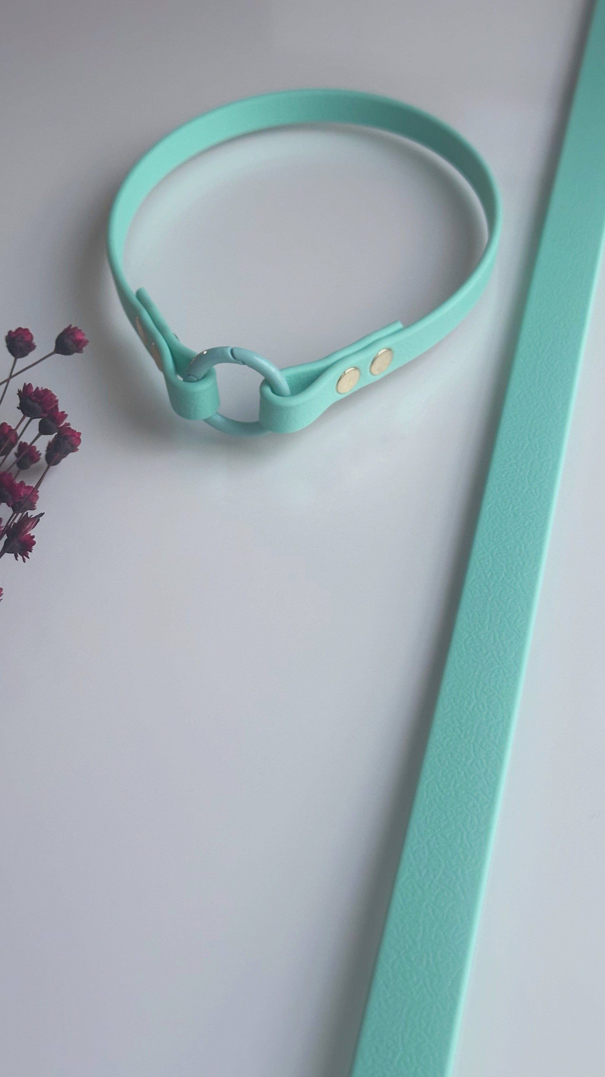Collares