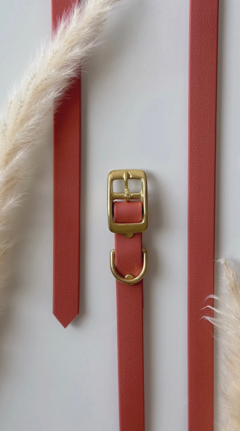 Collares