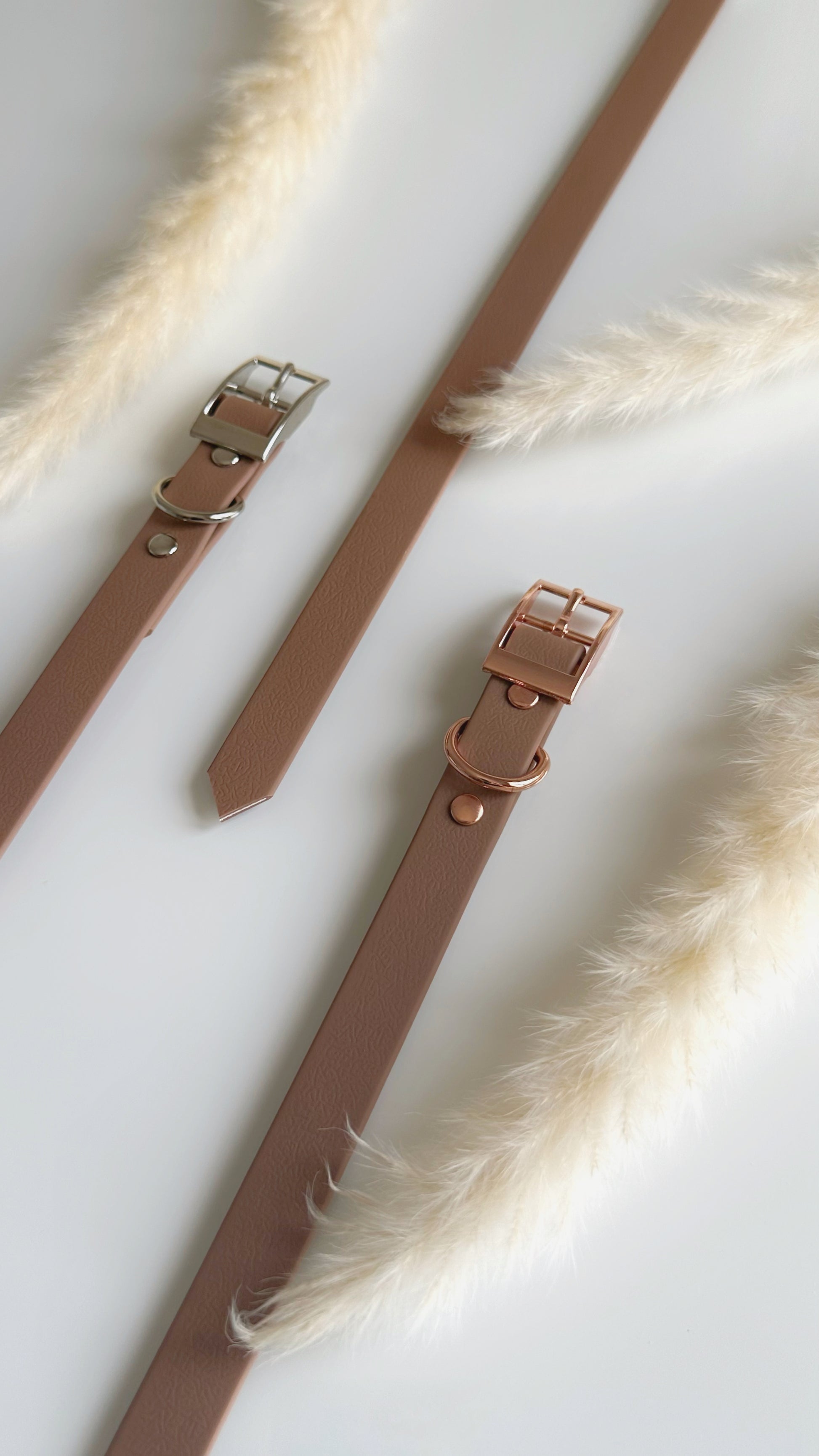 Collares