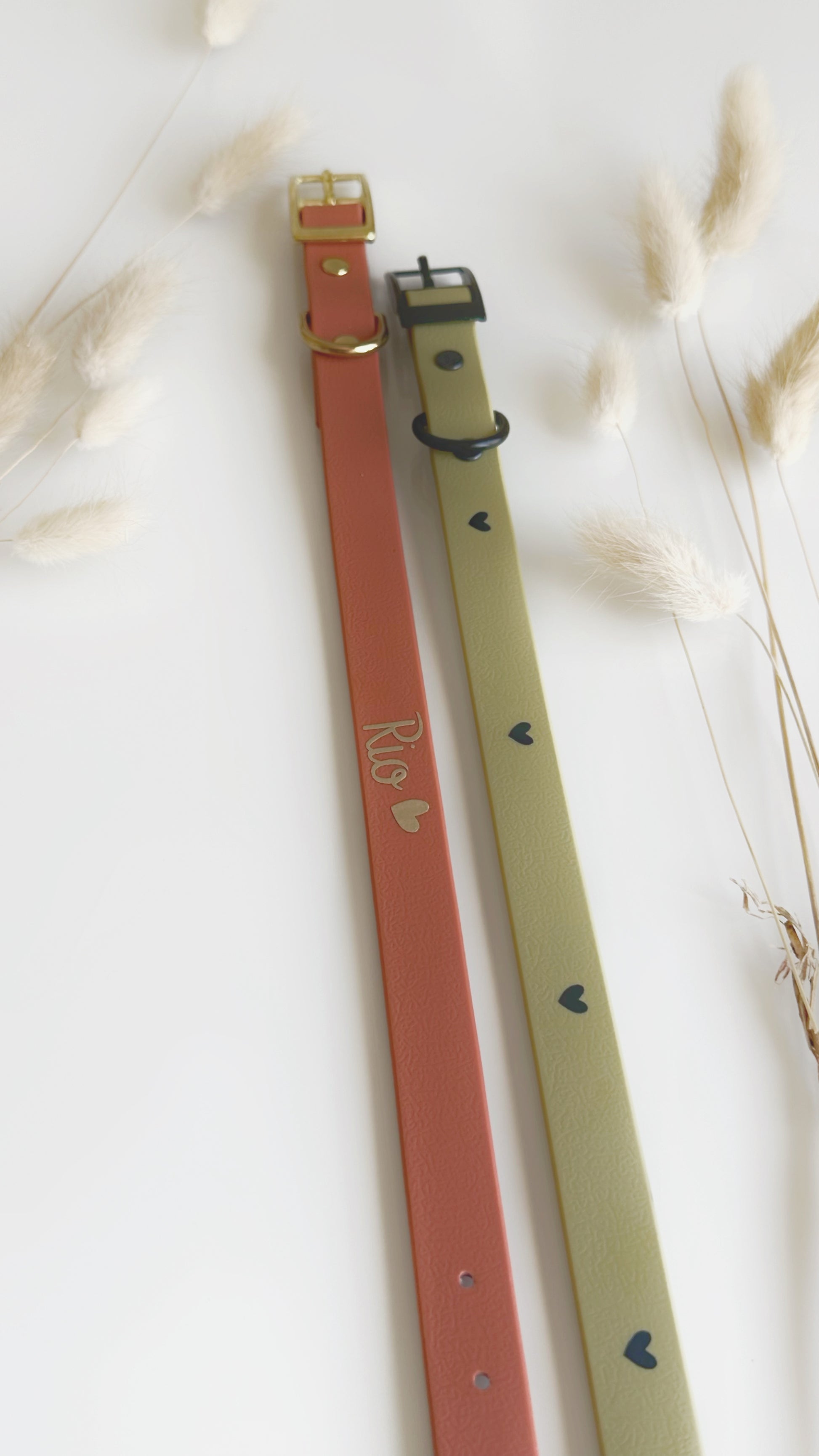 Collares