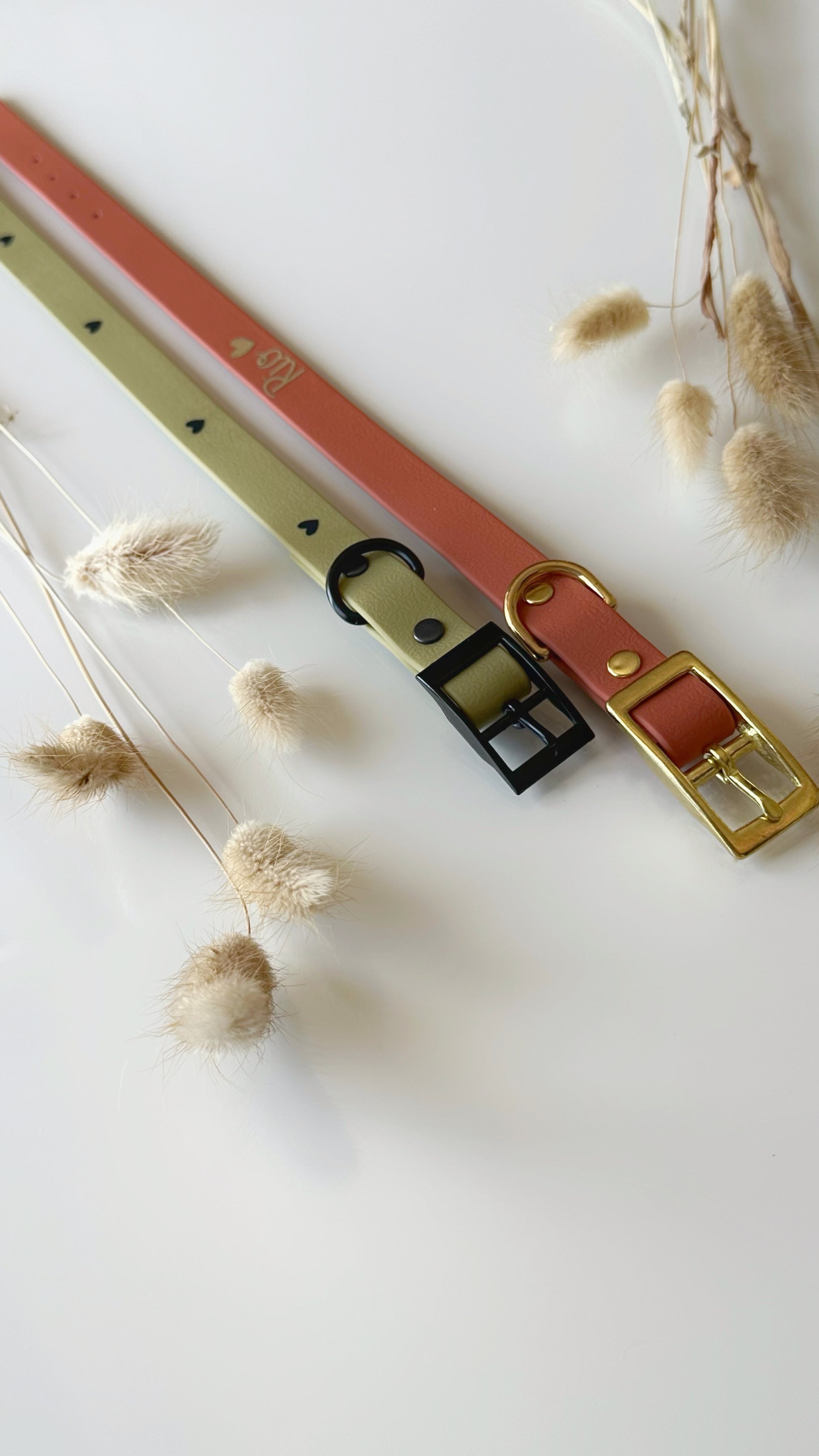 Collares