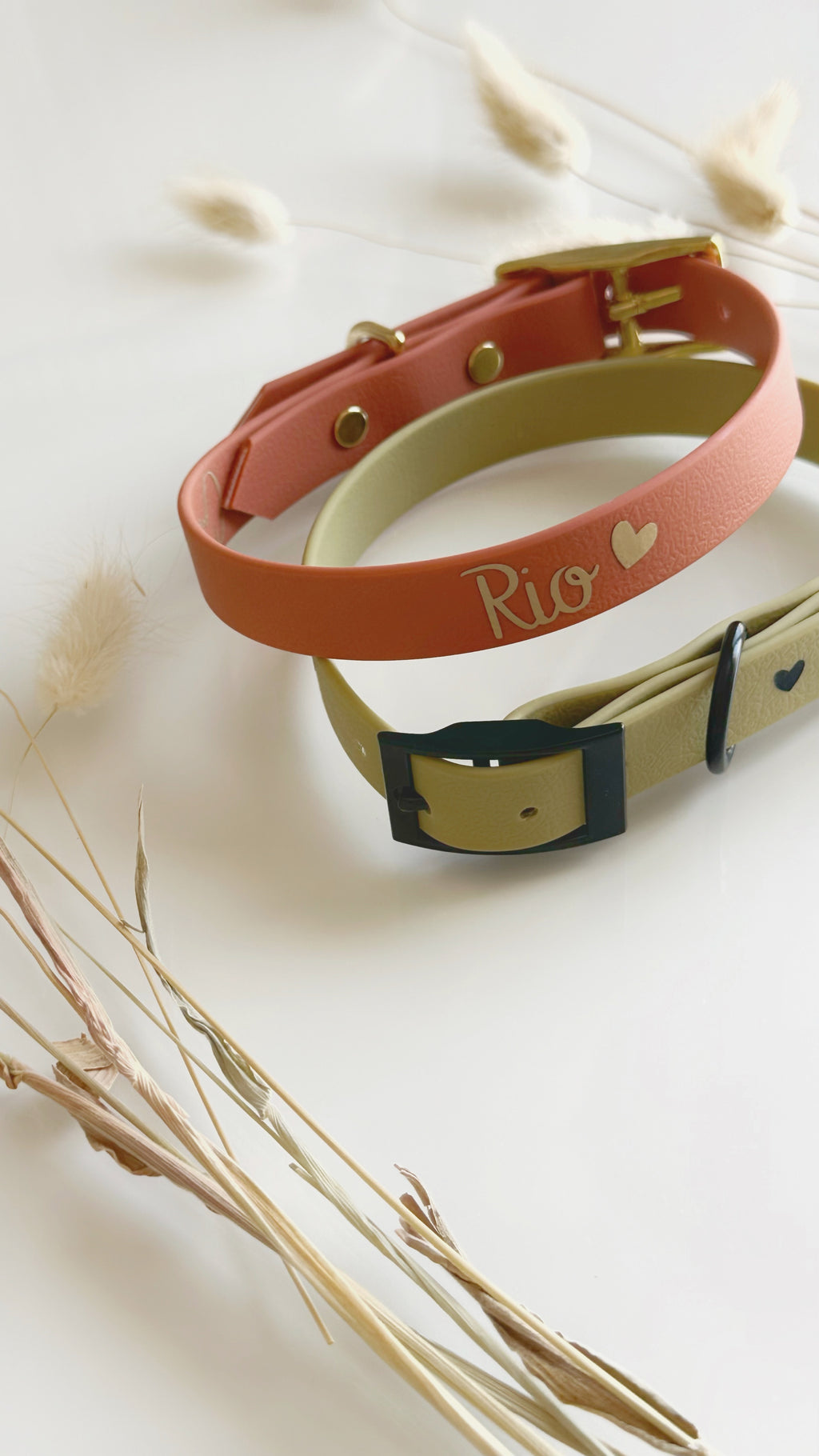 Collares