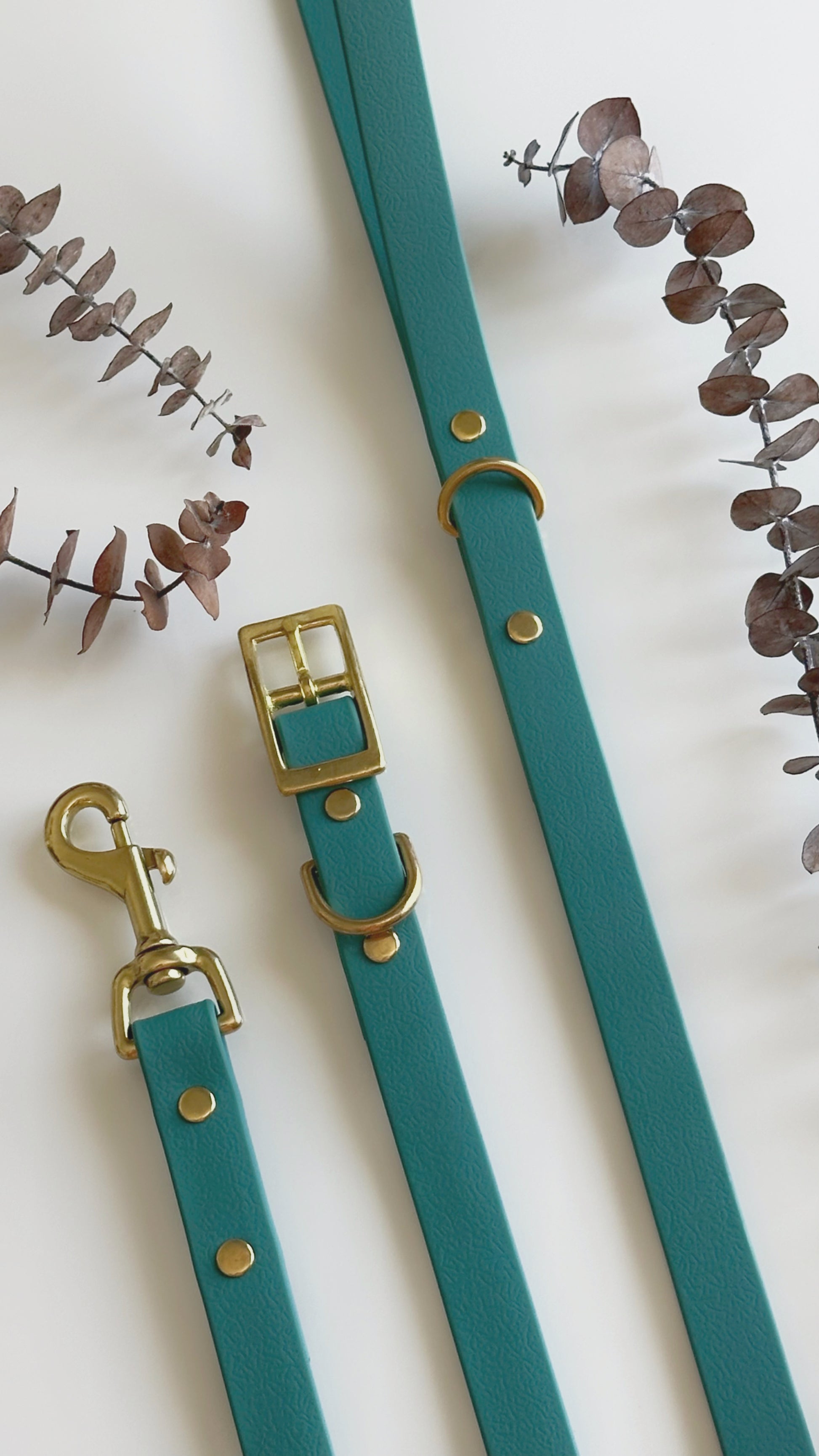 Collares