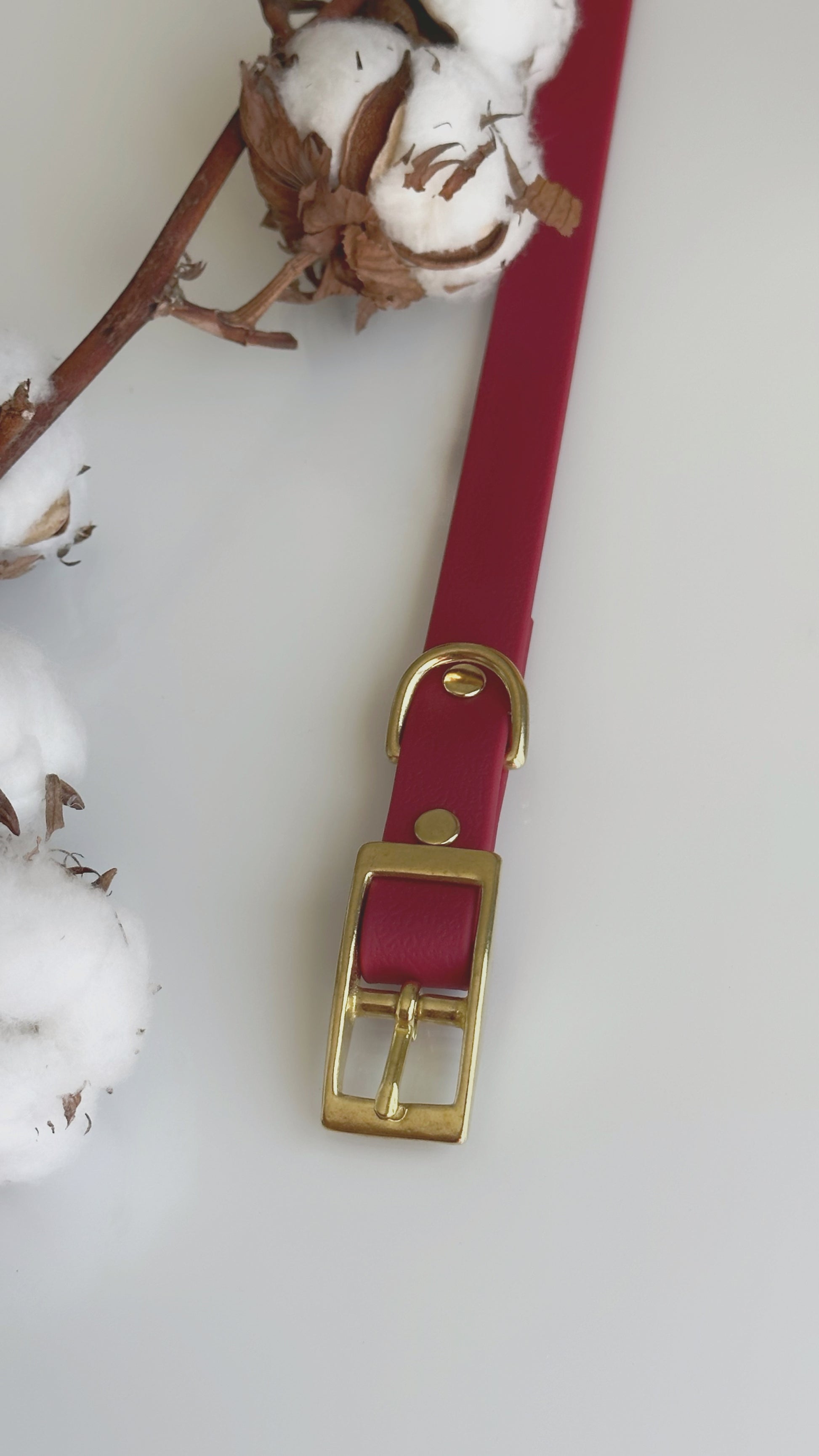 Collares