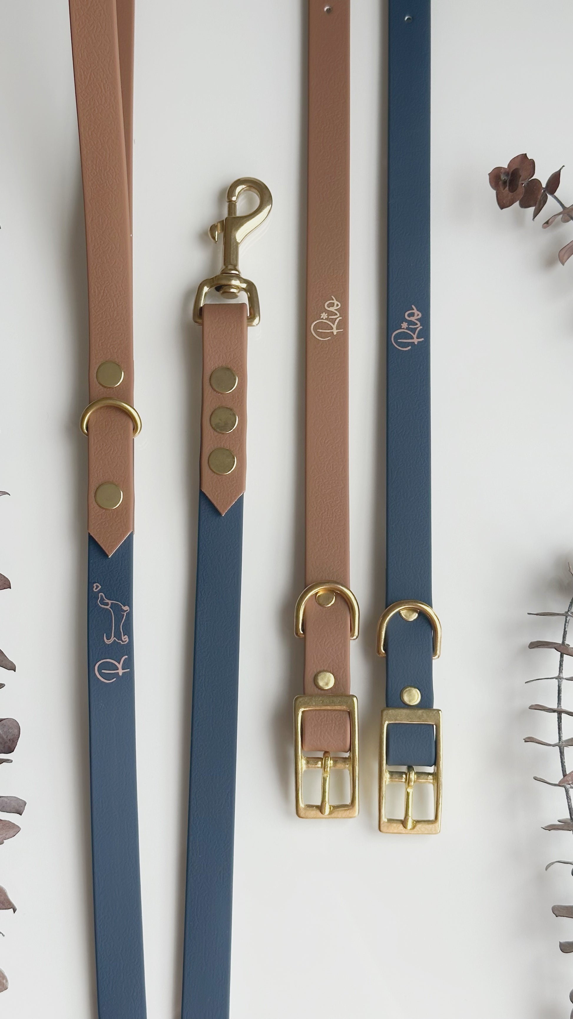 Collares