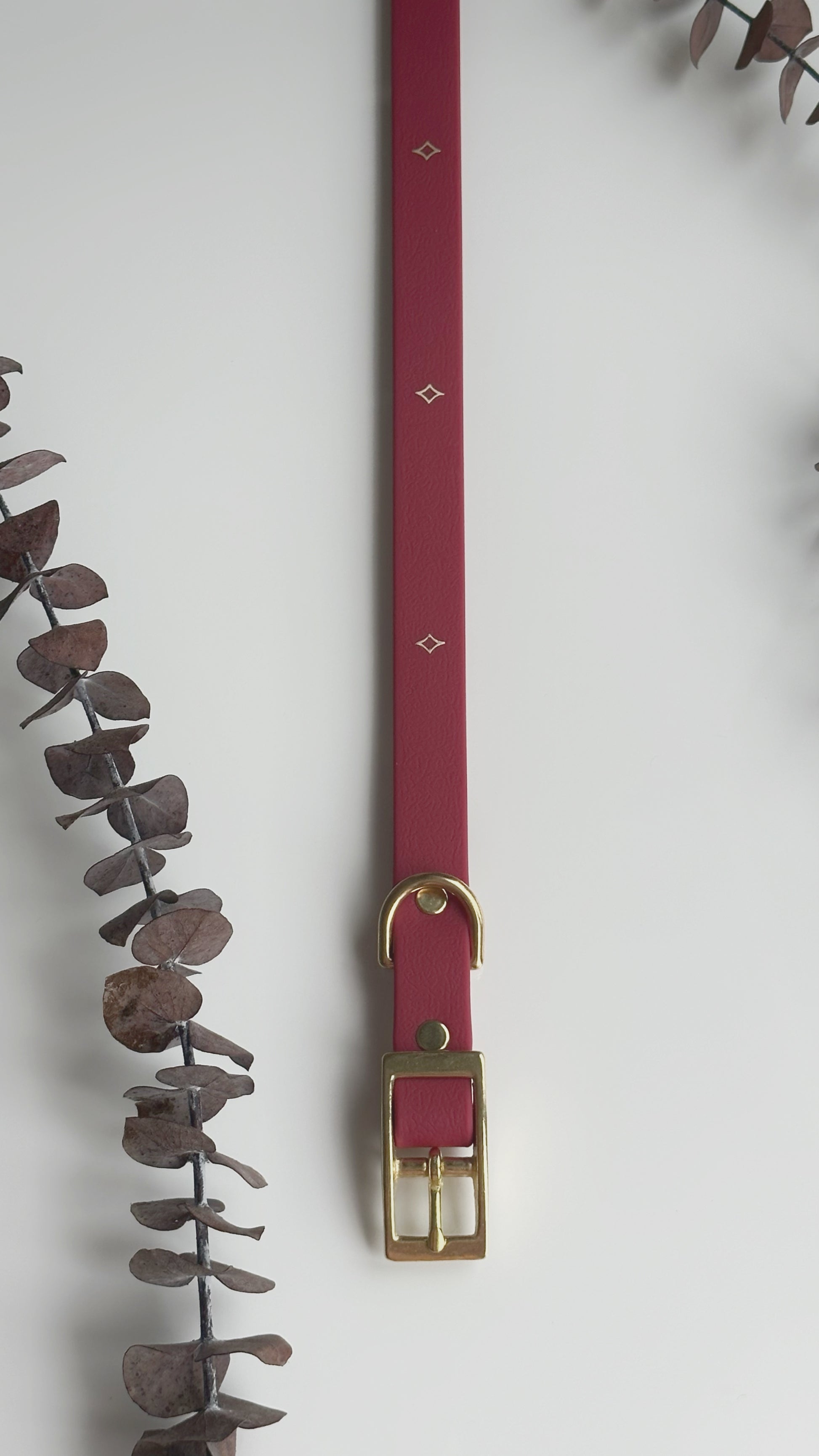 Collares