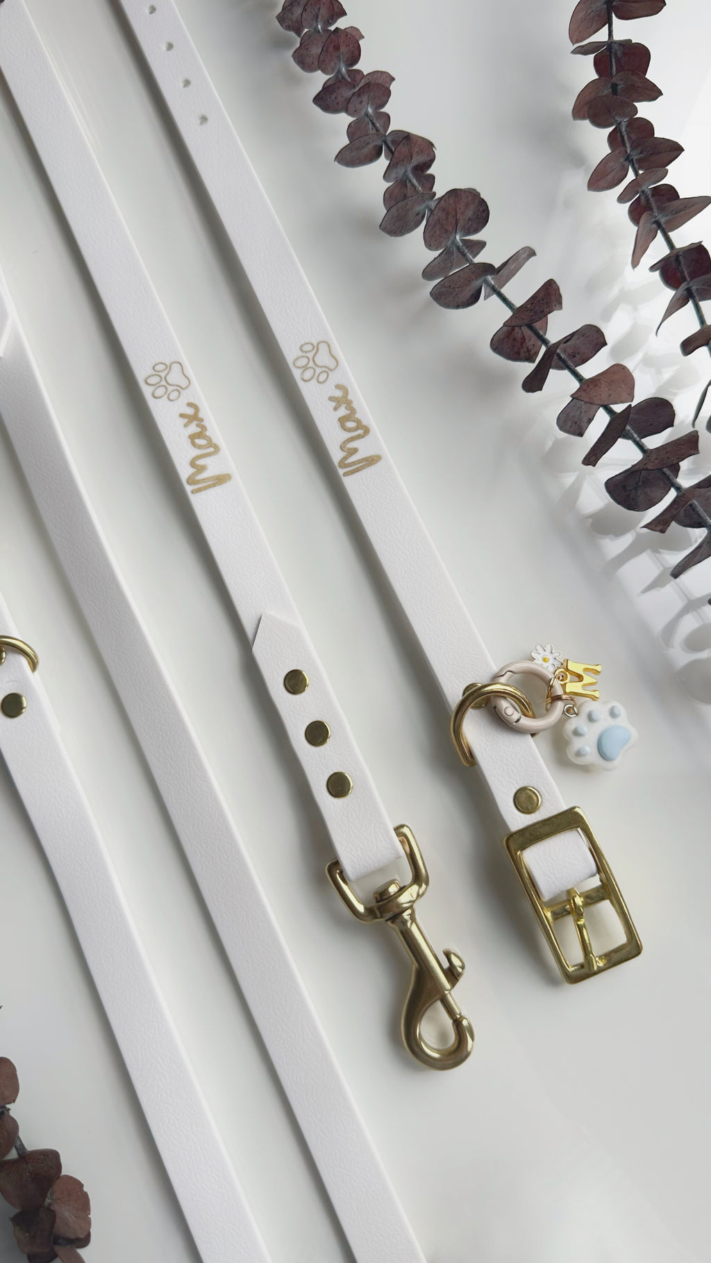Collares
