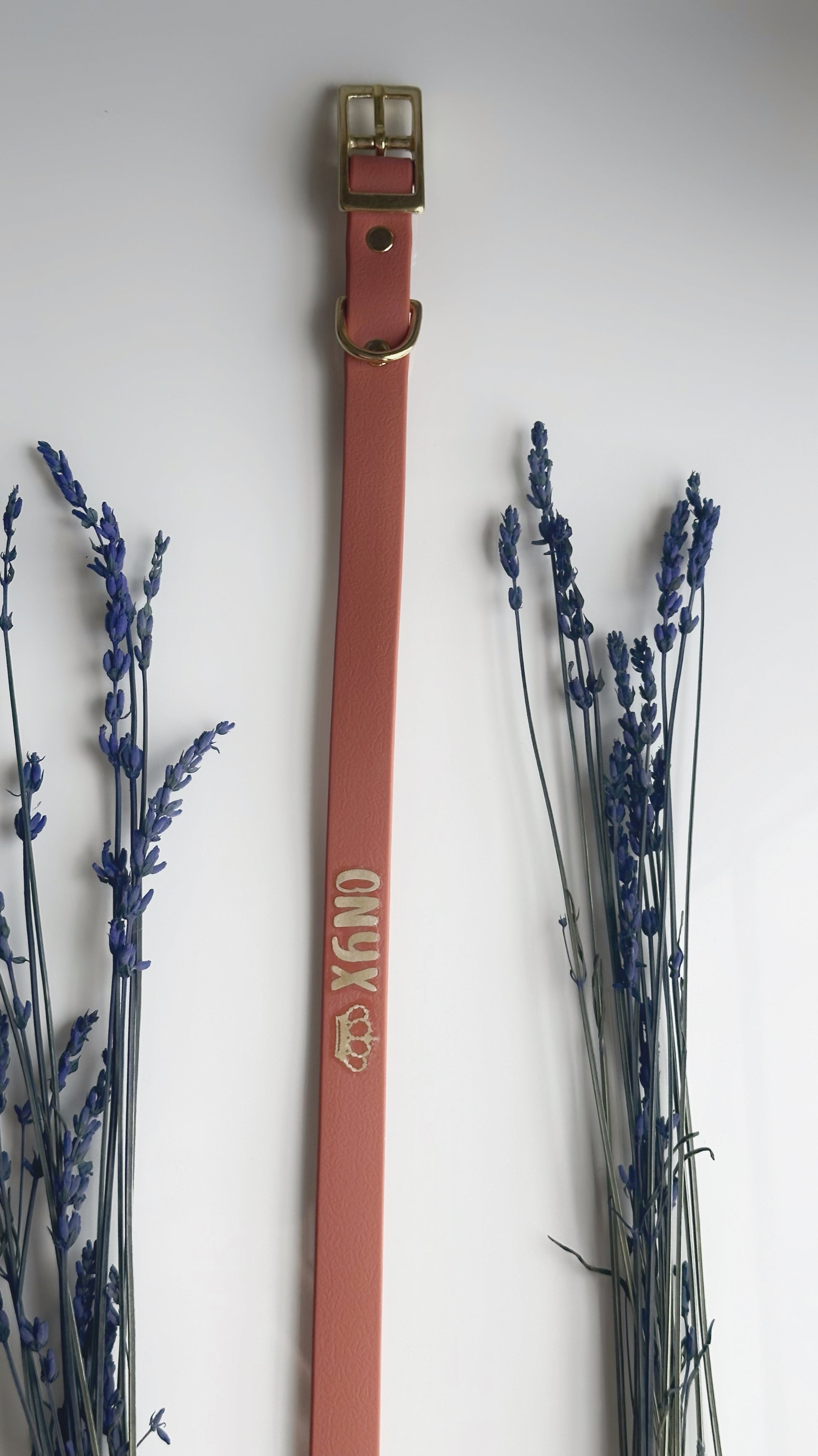 Collares