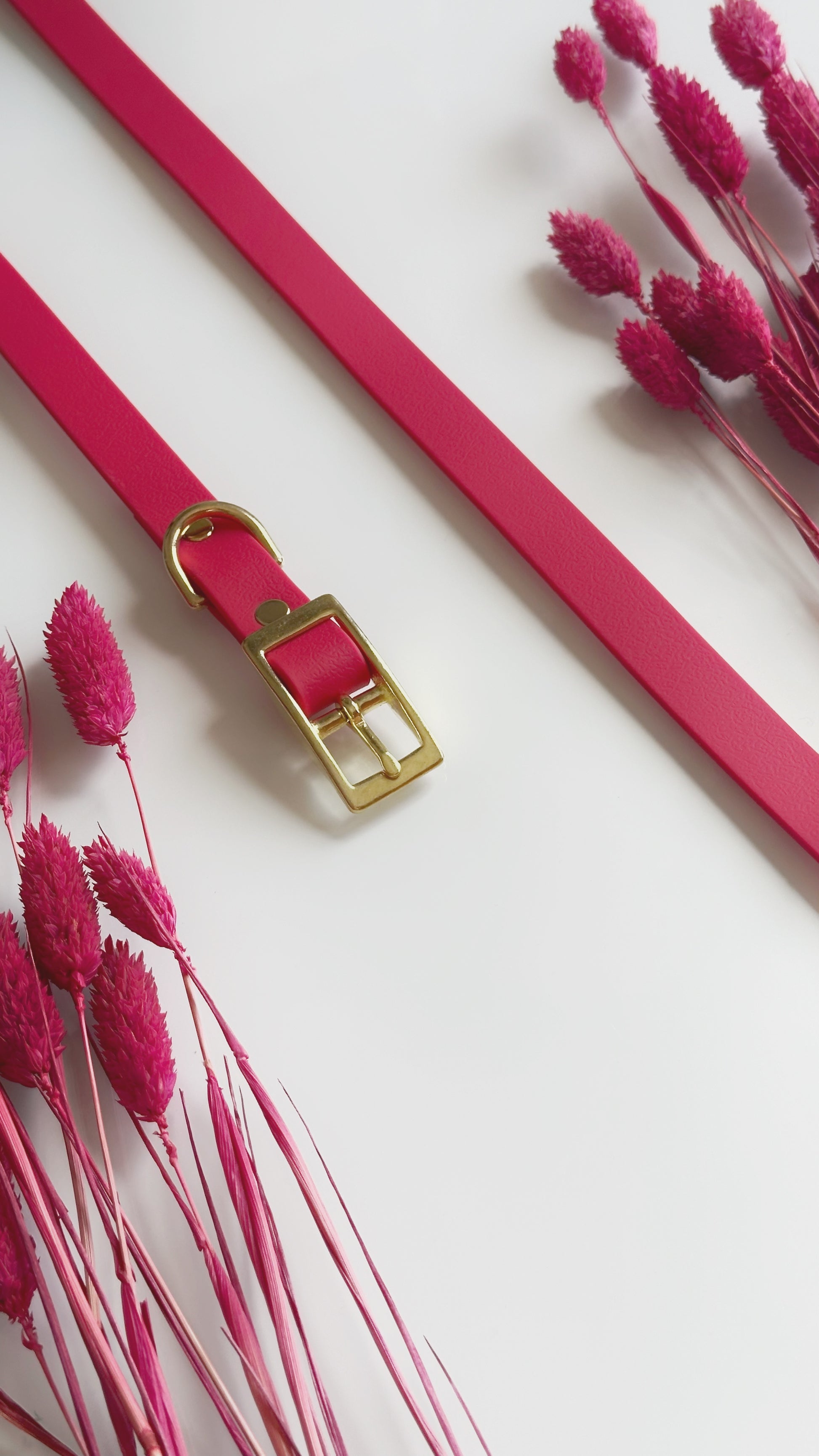 Collares
