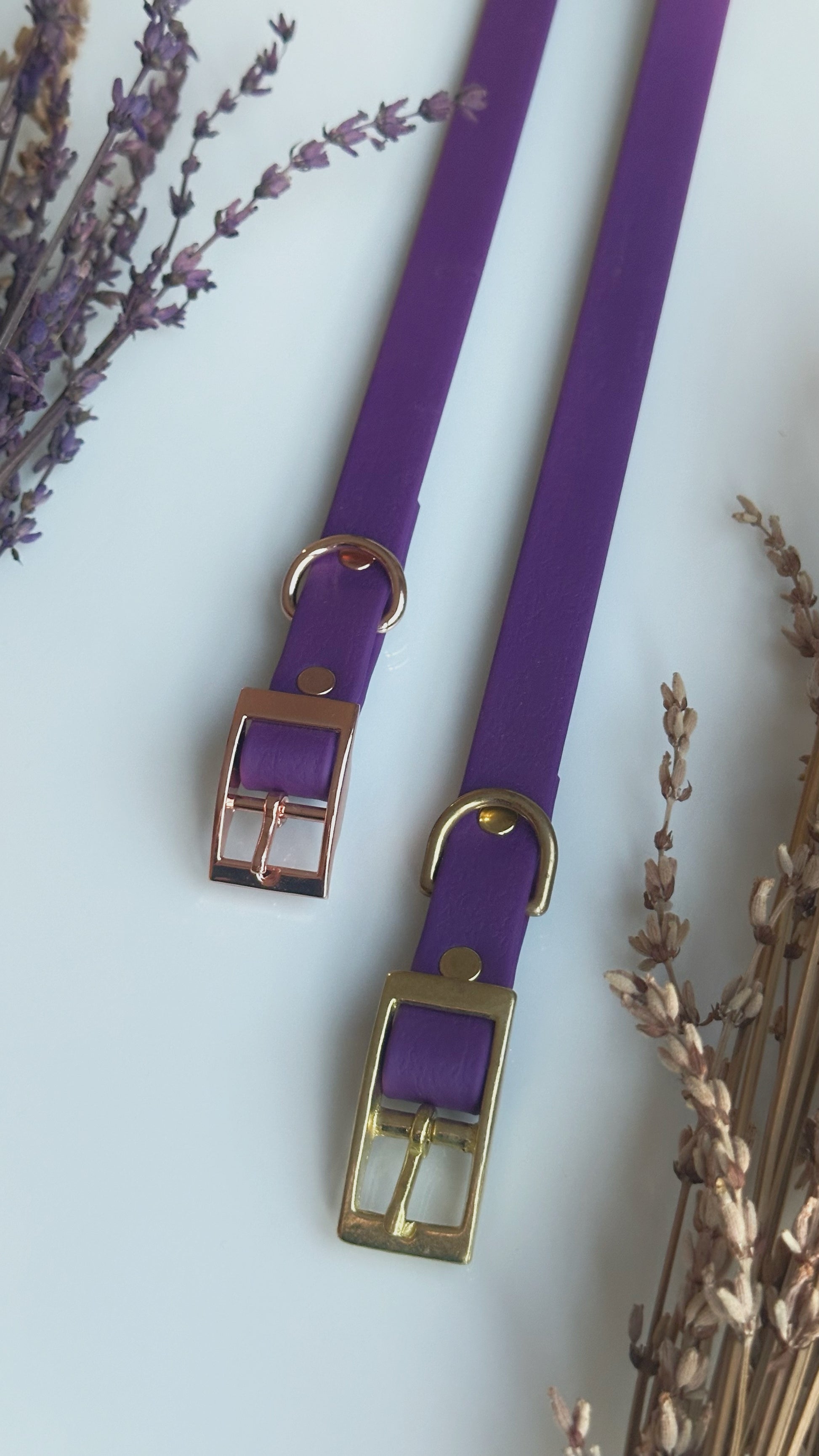 Collares