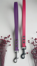 Correas Hexa Transitorias