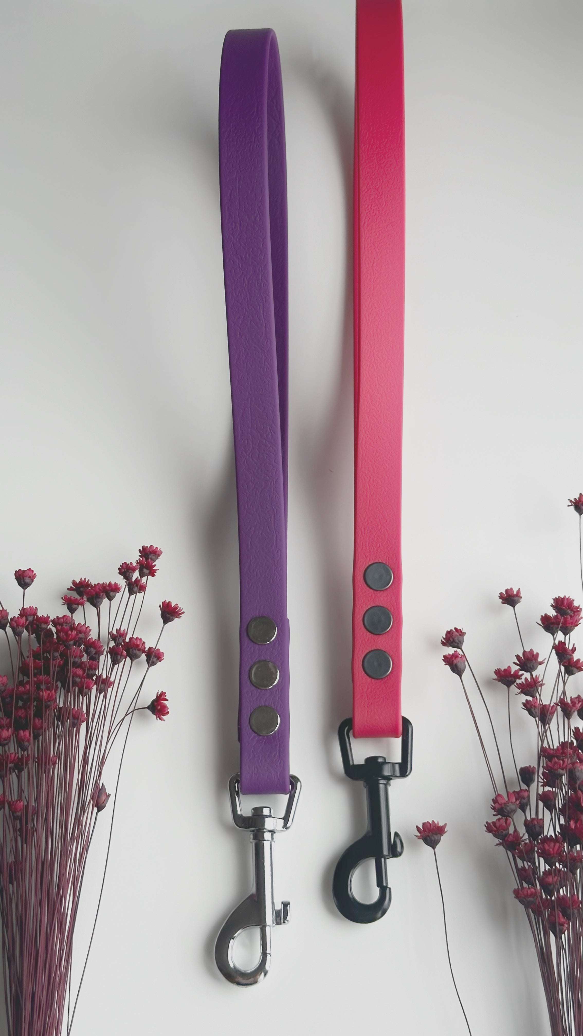 Correas Hexa Transitorias