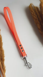 Correas Hexa Transitorias