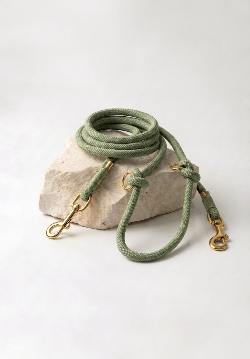 Correa Luxury Multiposición