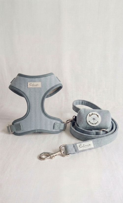Arnes Ajustable