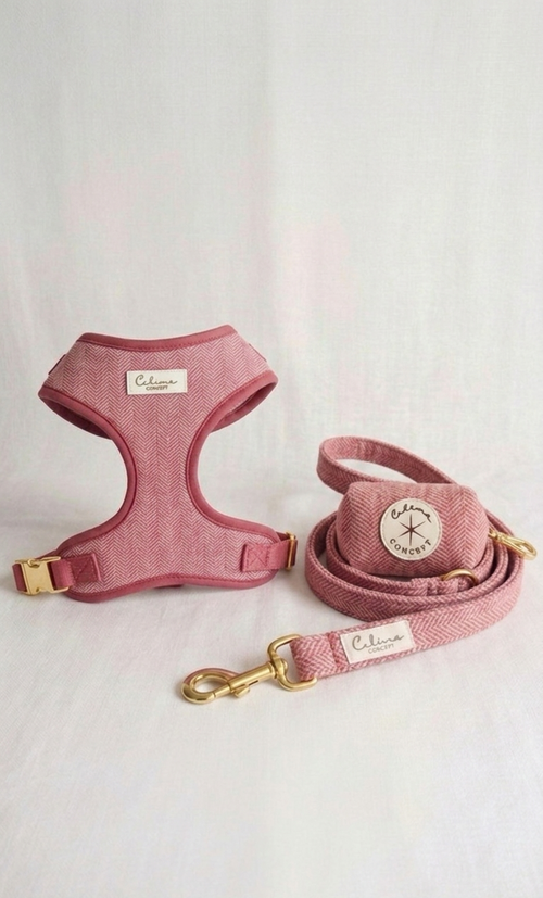 Arnes Ajustable