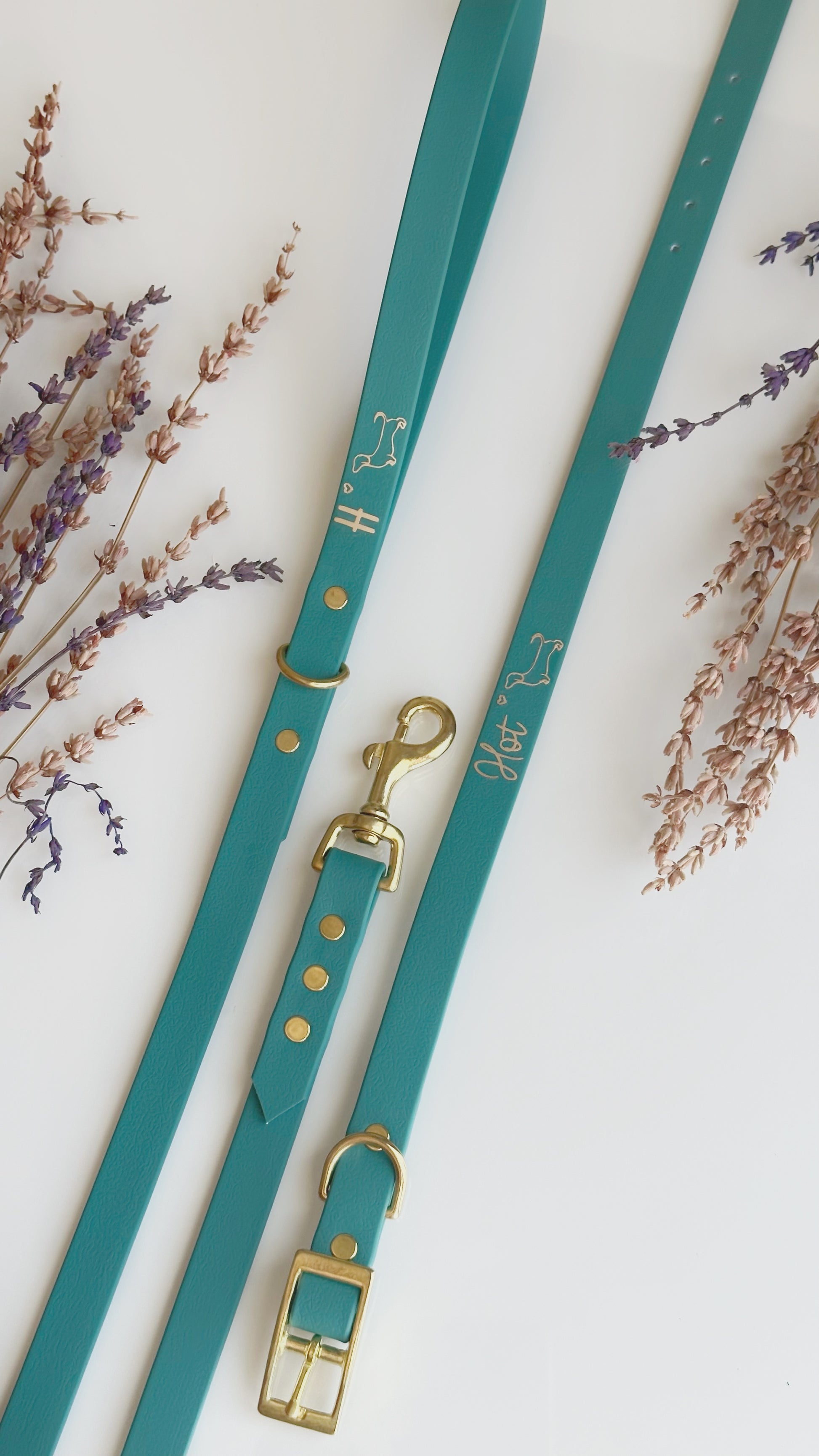 Collares