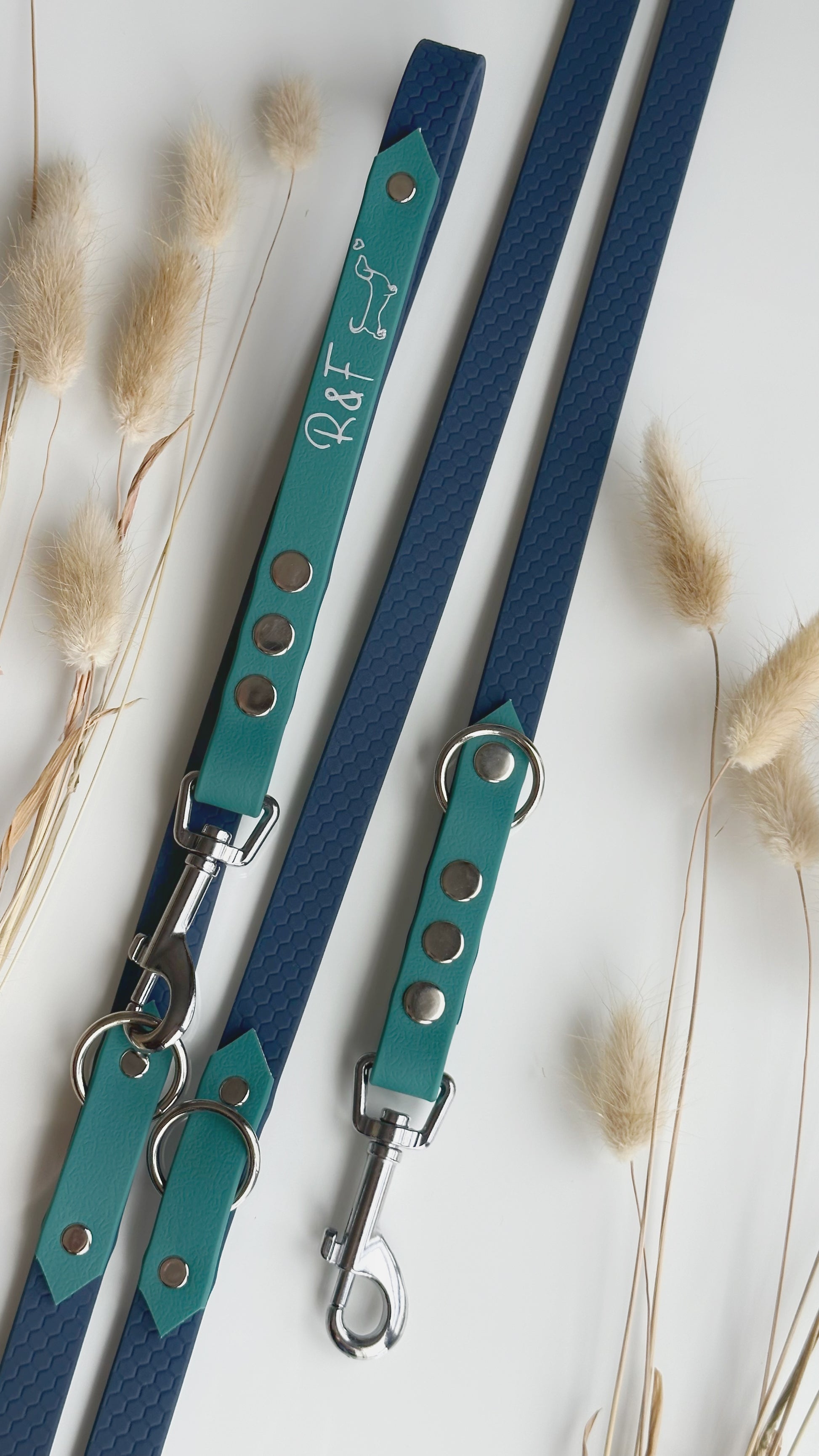 Collares