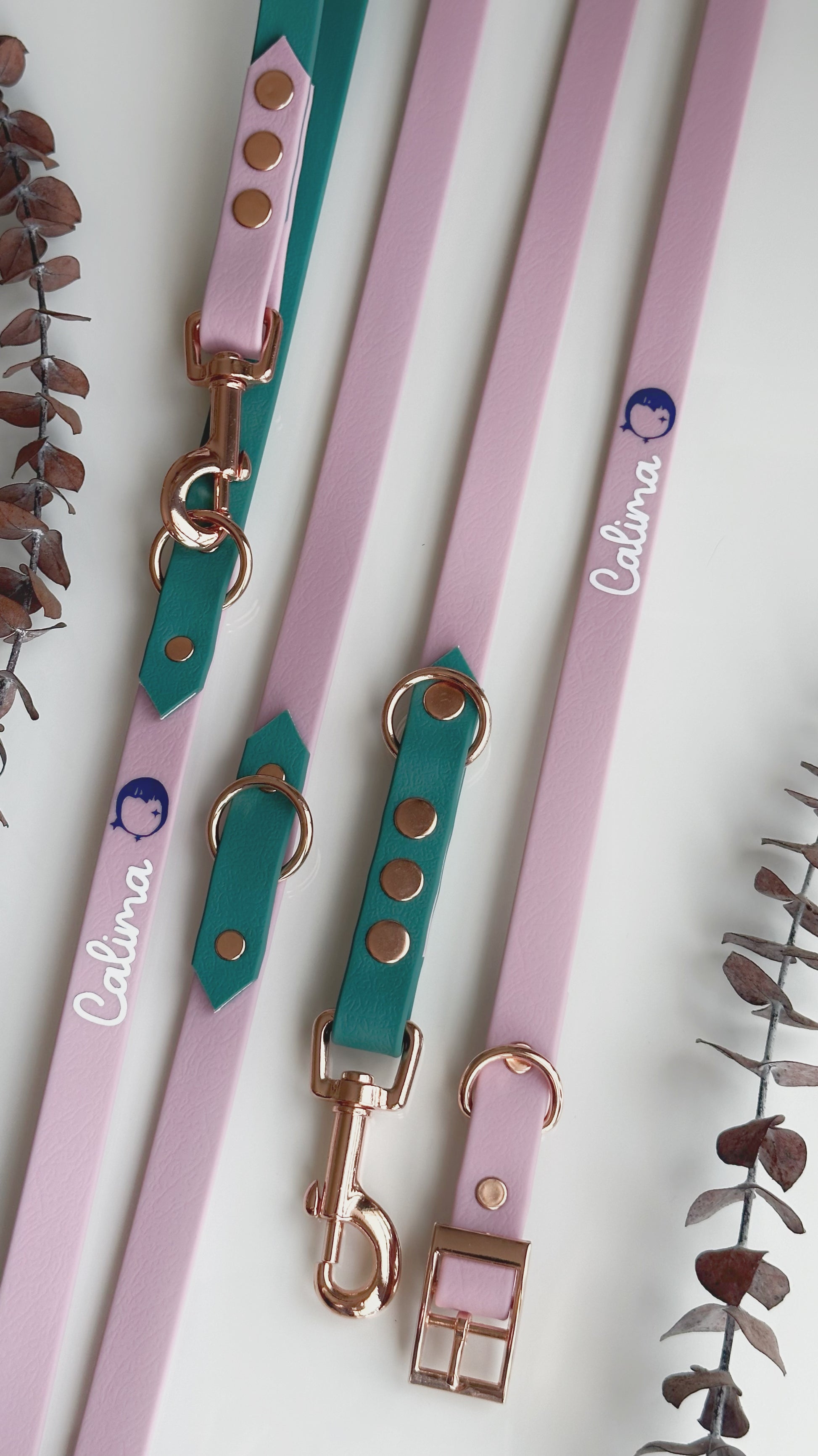 Collares