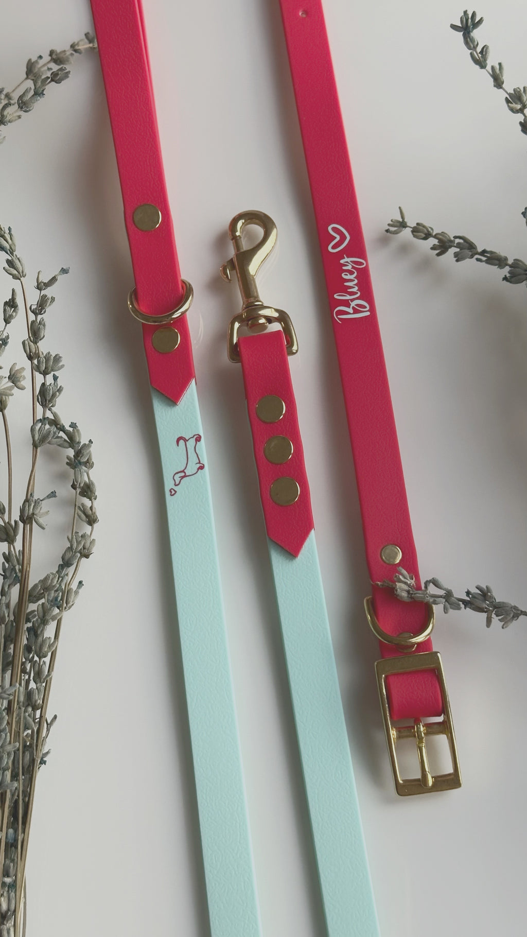Collares