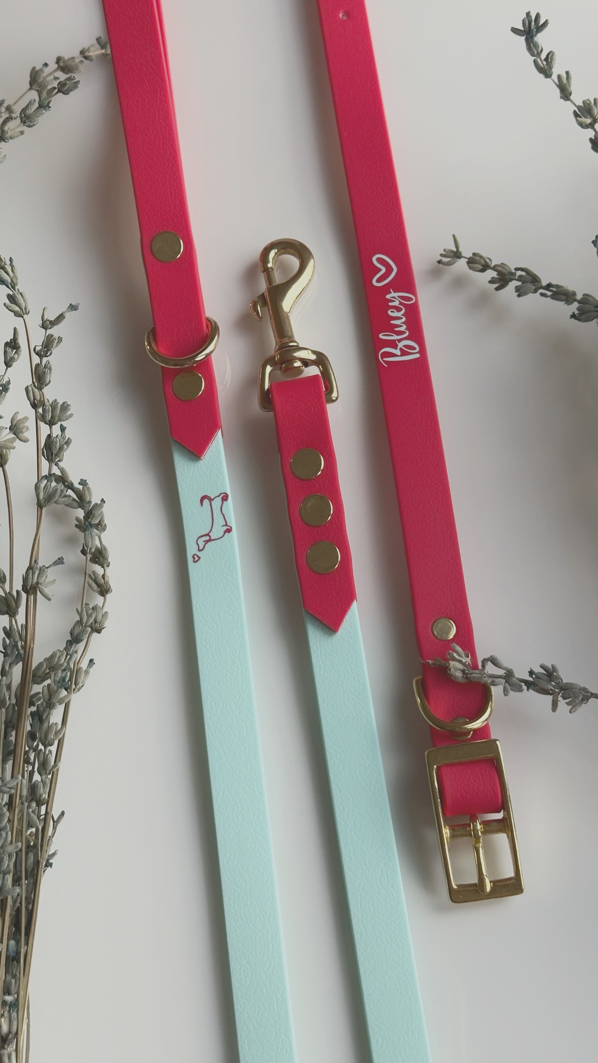 Collares
